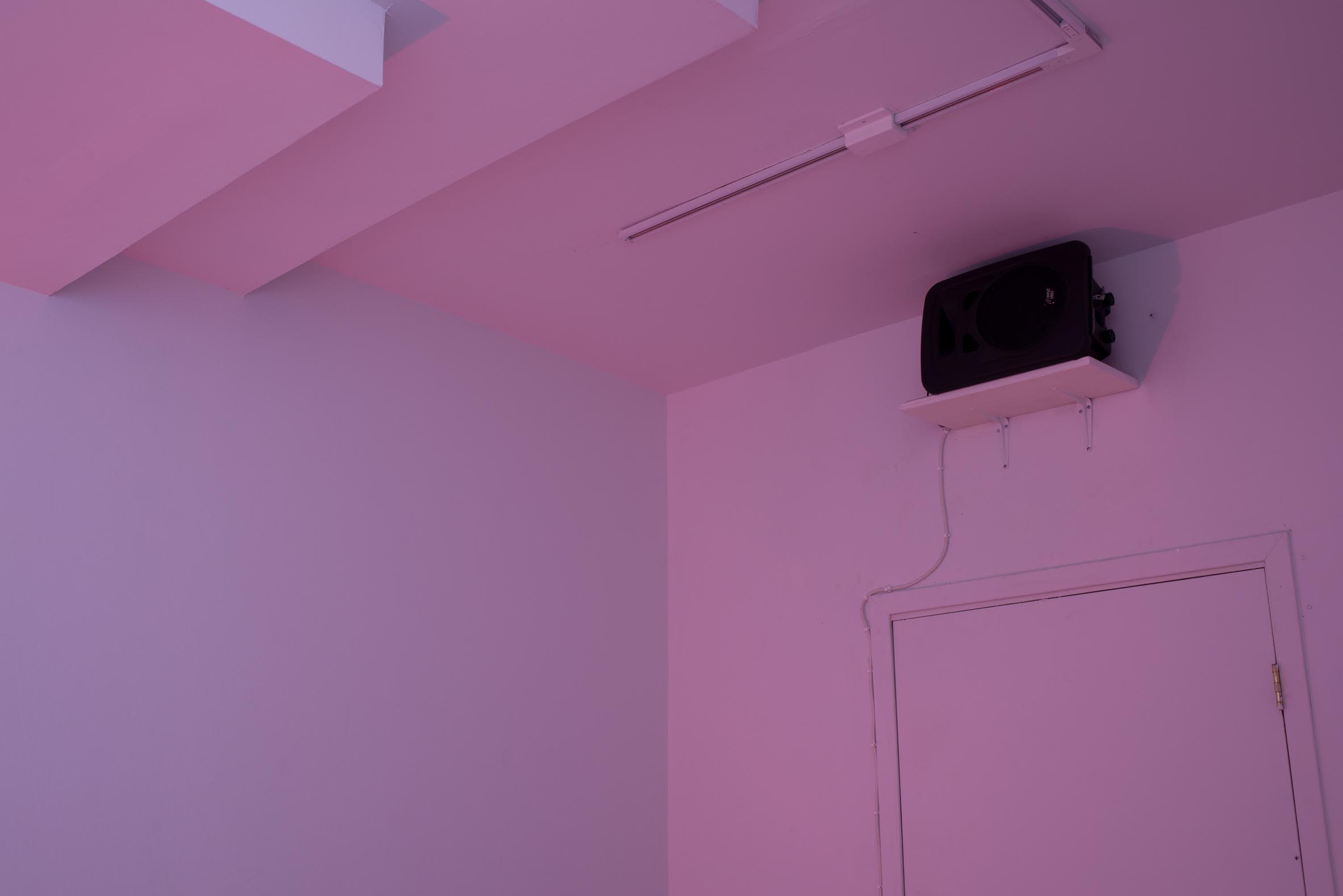 Diana Policarpo, Visions of Excess, 2015. Sound-poem, mixed media installation, 13:00. 