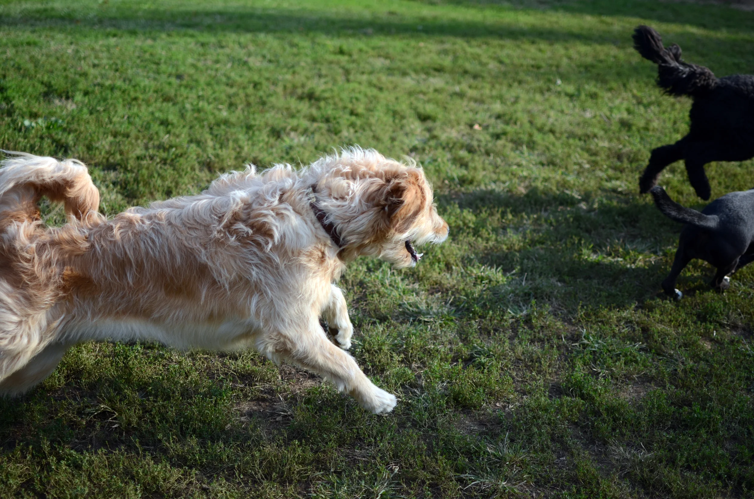 DSC_6214.jpg