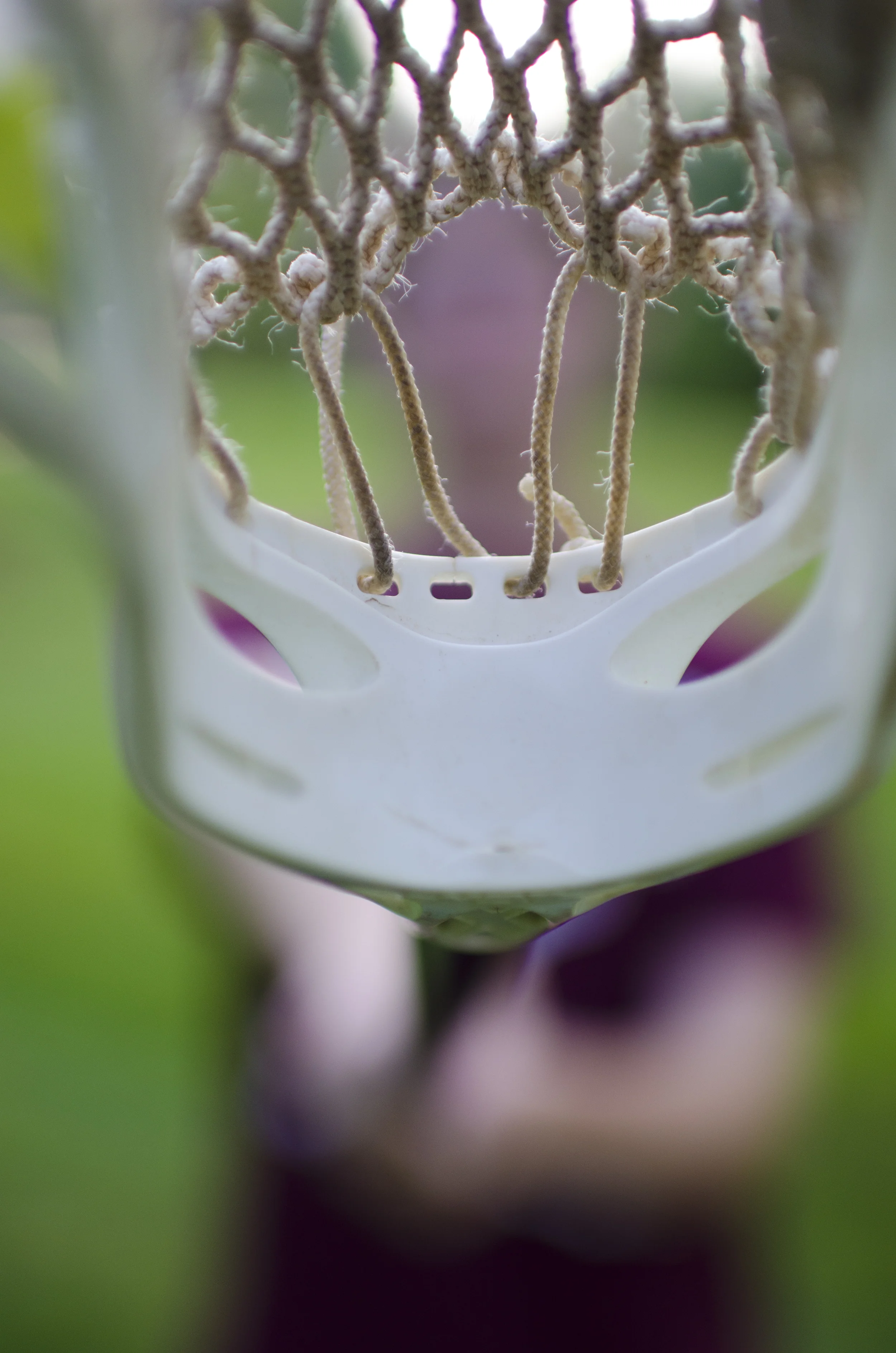 Lacrosse_20.jpg