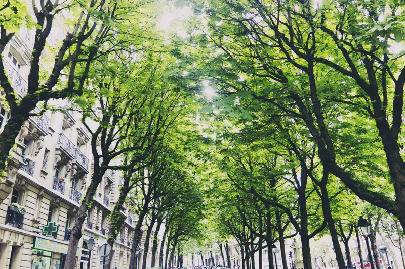 streets of paris.jpg