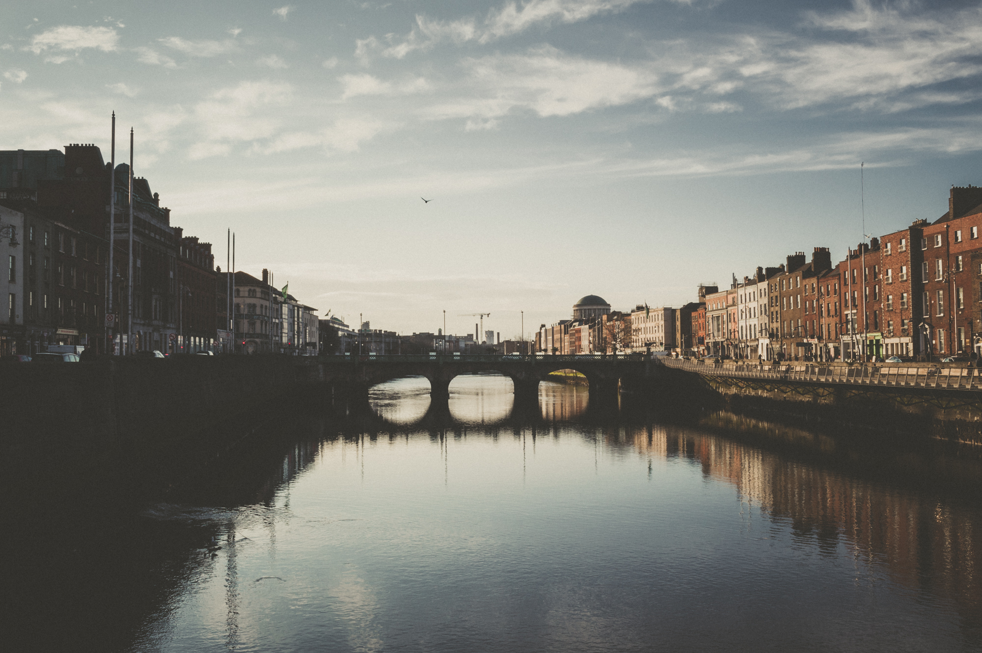 WEB-TaraShupe_Dublin_1636-WEB.jpg