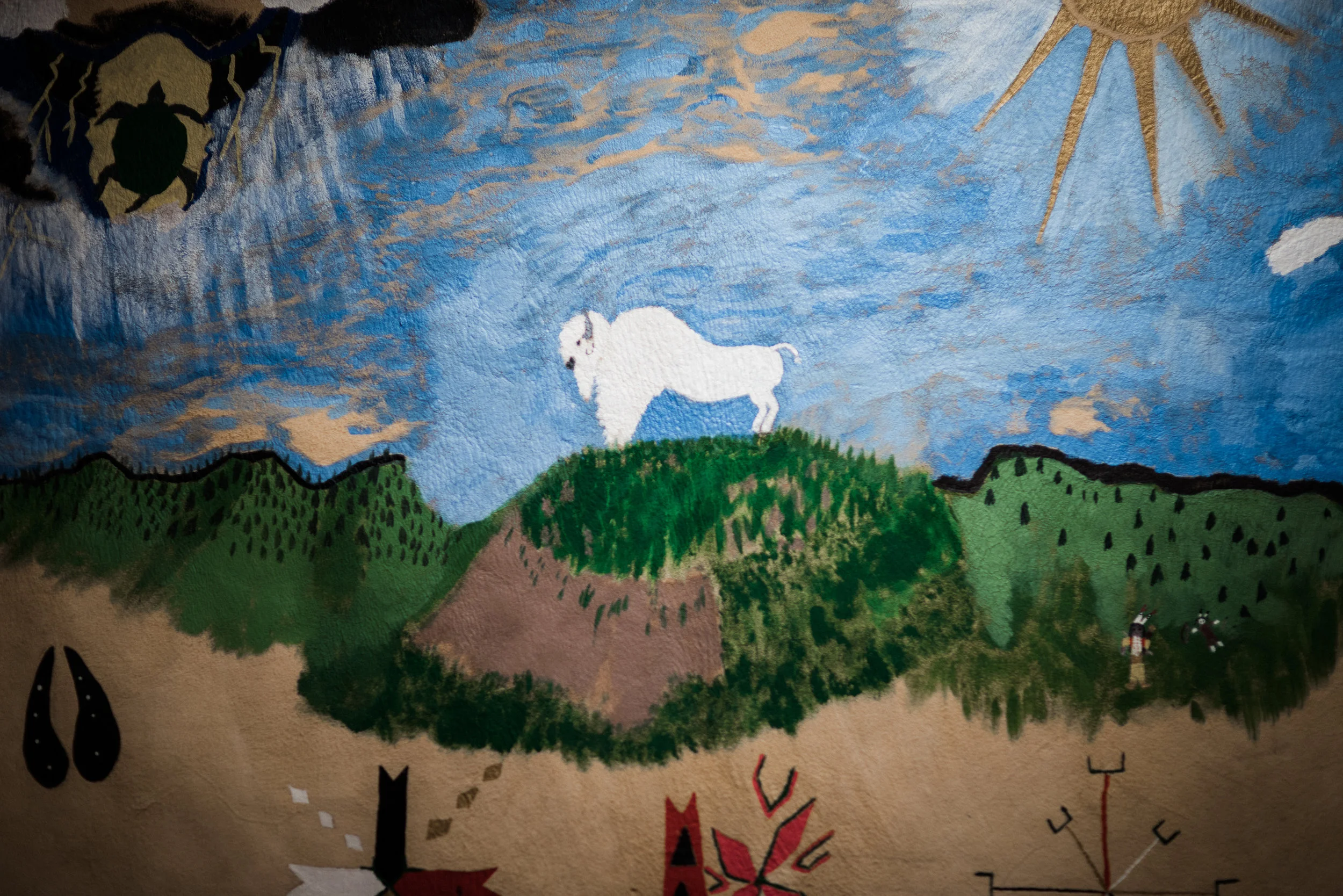 Rosebud_Indian_Reservation_Non_Profit_Humanitarian_TaraShupePhotography_006.jpg