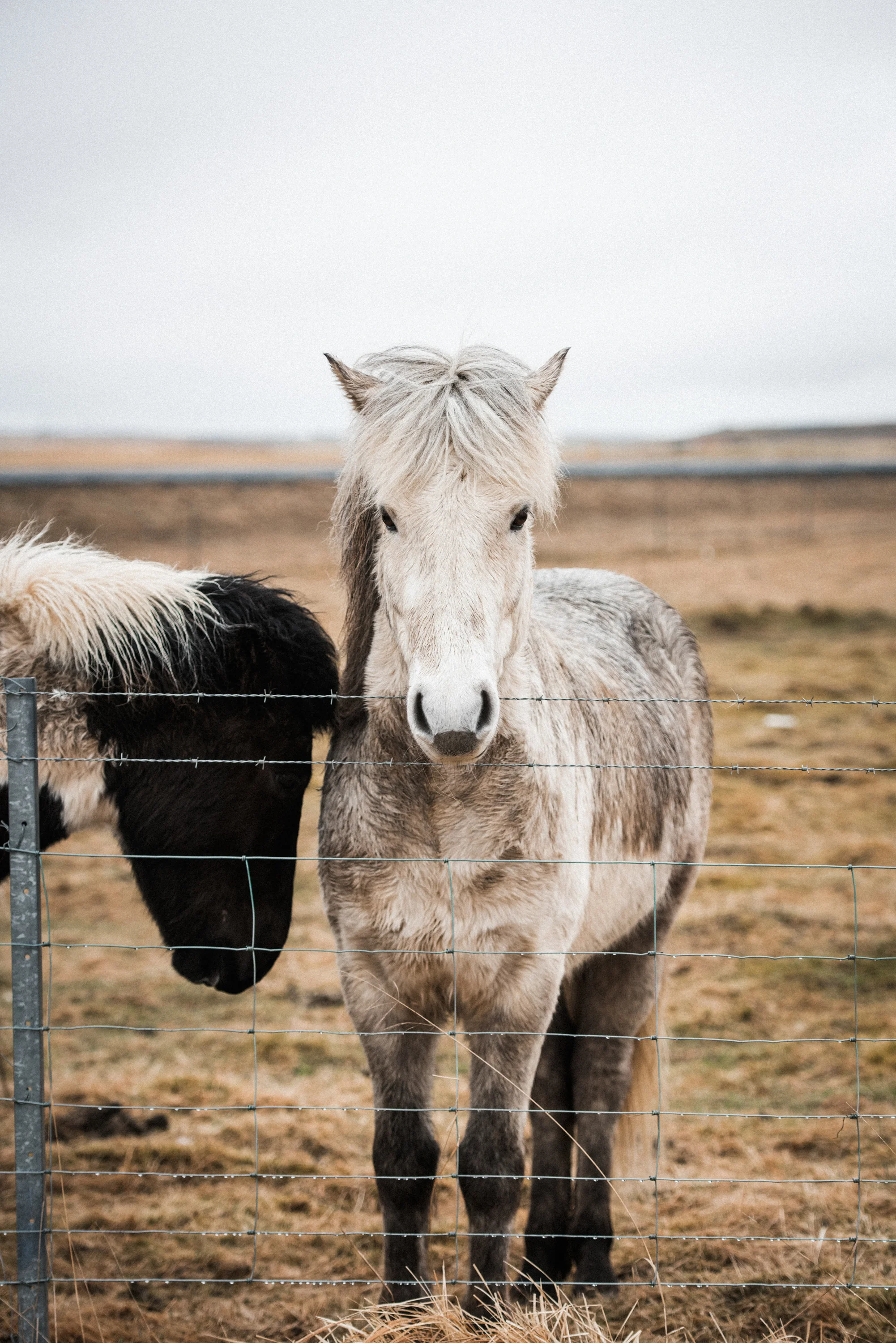 ICELAND_WOMAN_PHOTOGRAPHER_TARASHUPE_OUTDOOR_PHOTOGRAPHY_004.jpg