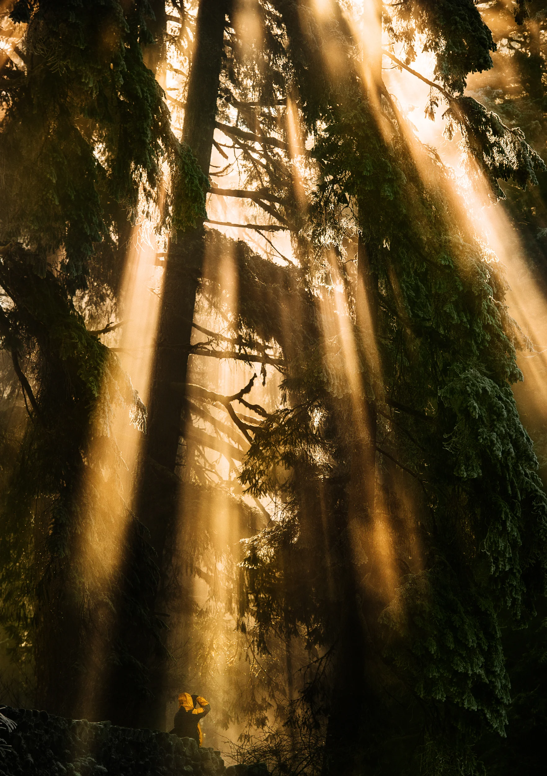 TaraShupe_Photography_Travel_Photographer_OutdoorWomanPhotographer_011.jpg