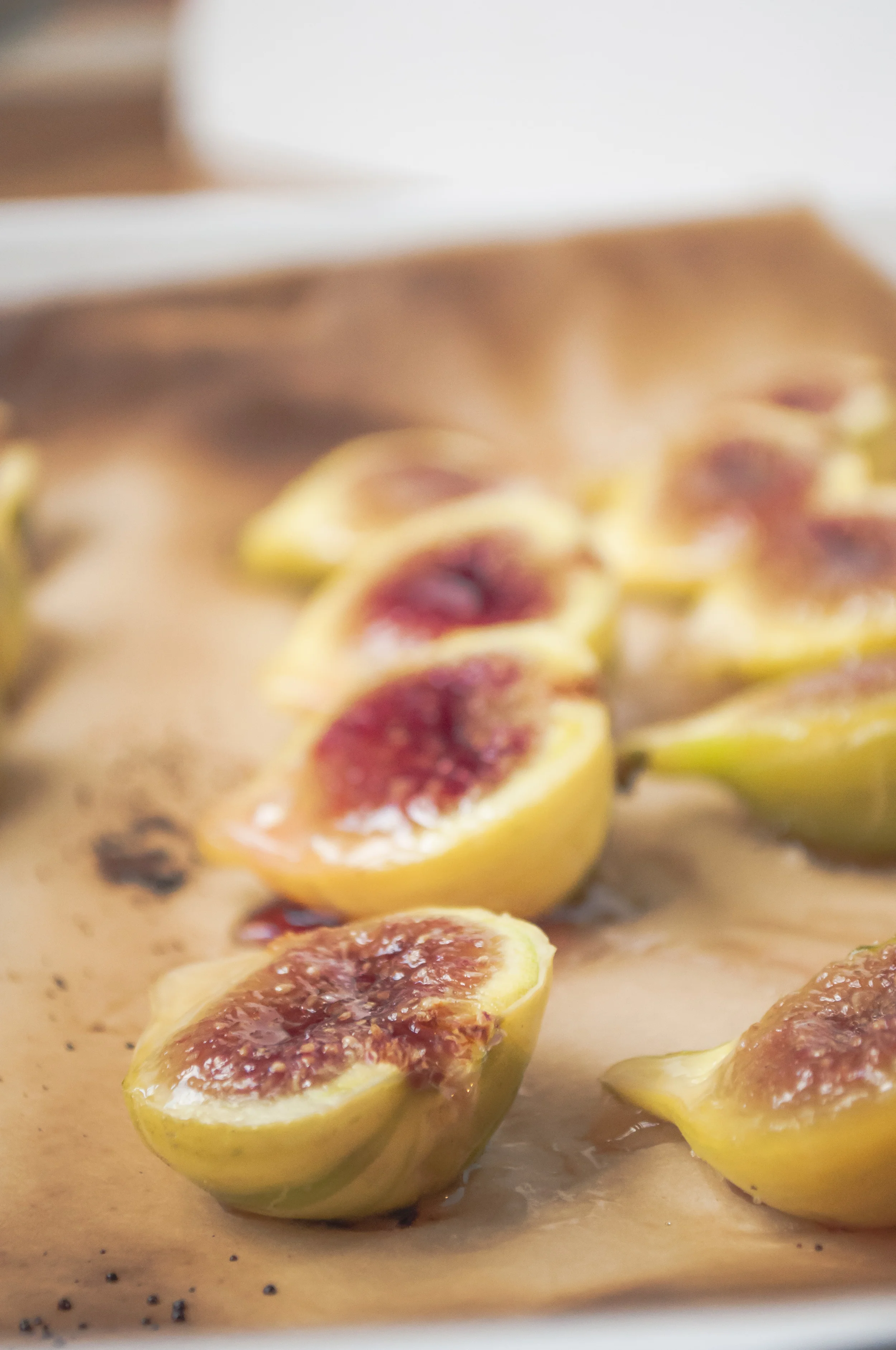figs17.jpg