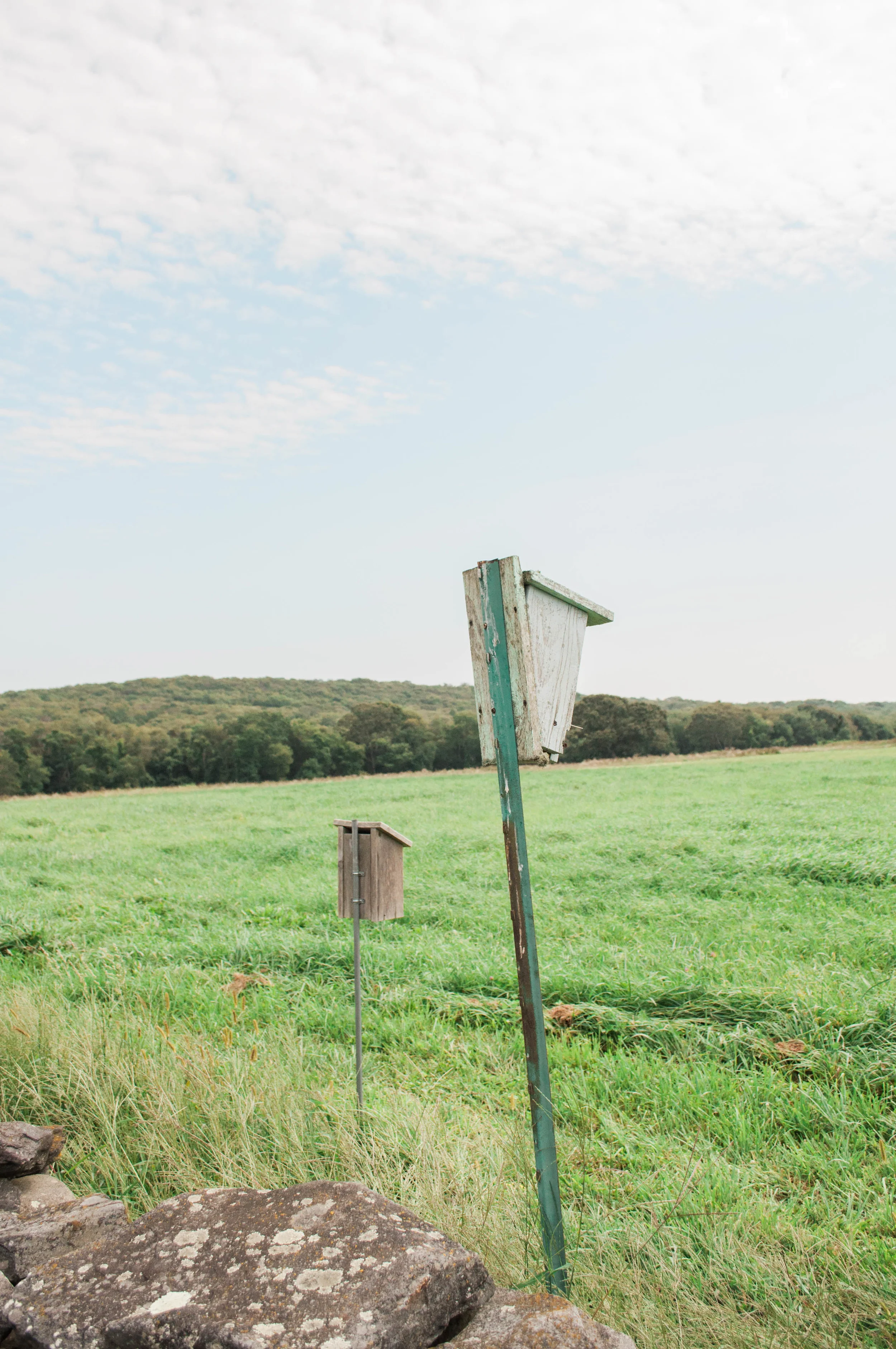 tivertonlandtrust-4.jpg