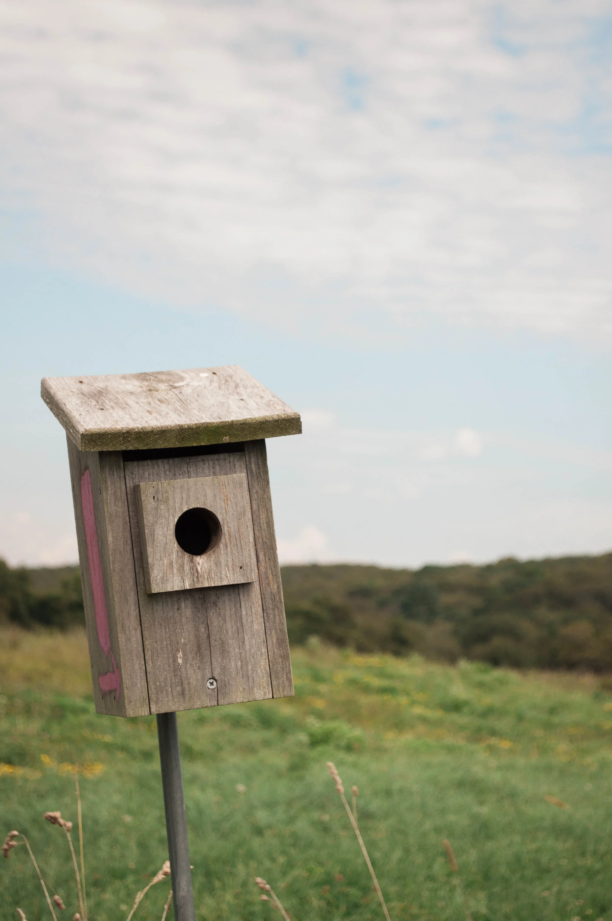 tivertonlandtrust-11.jpg