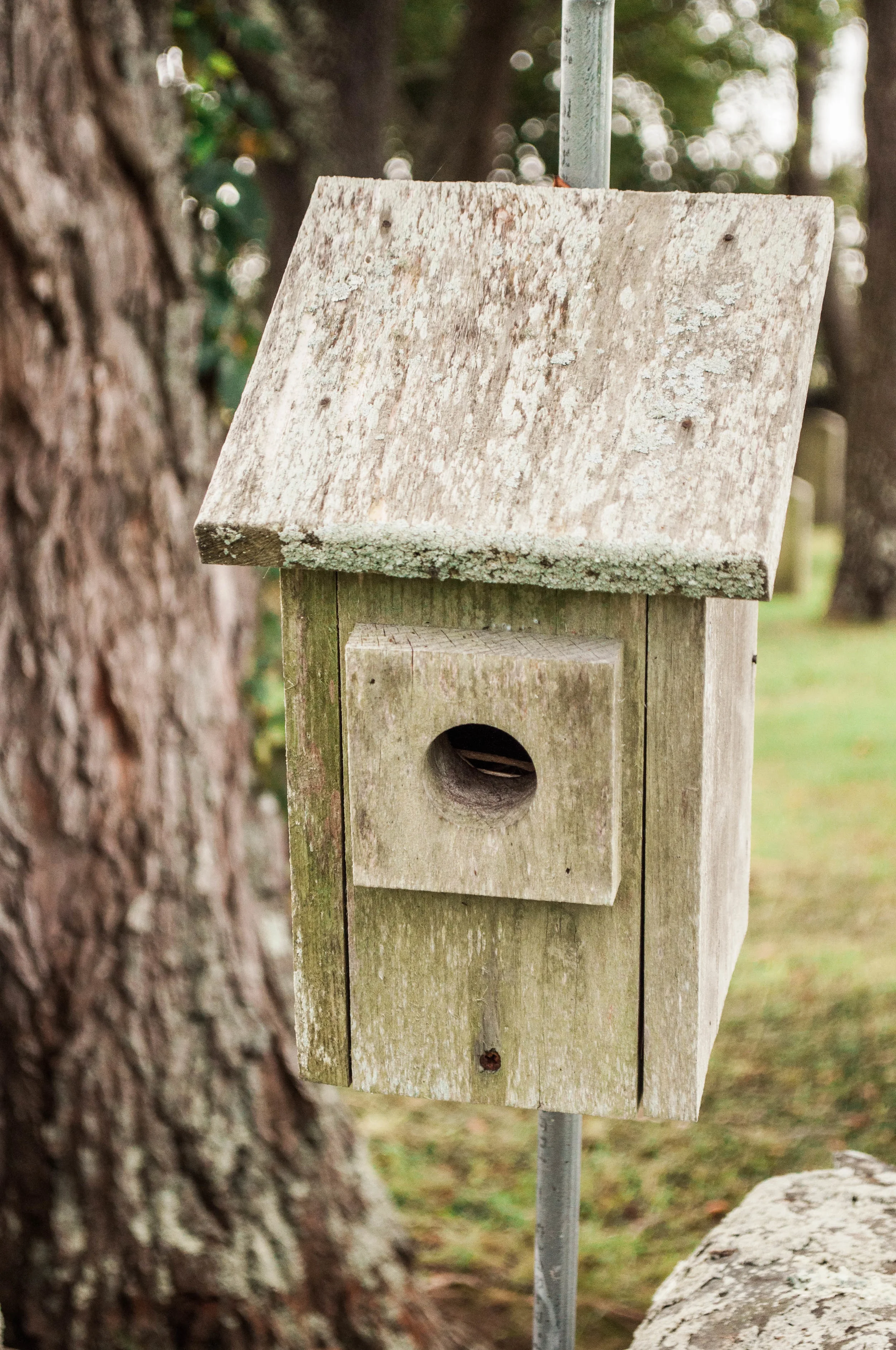 tivertonlandtrust-23.jpg