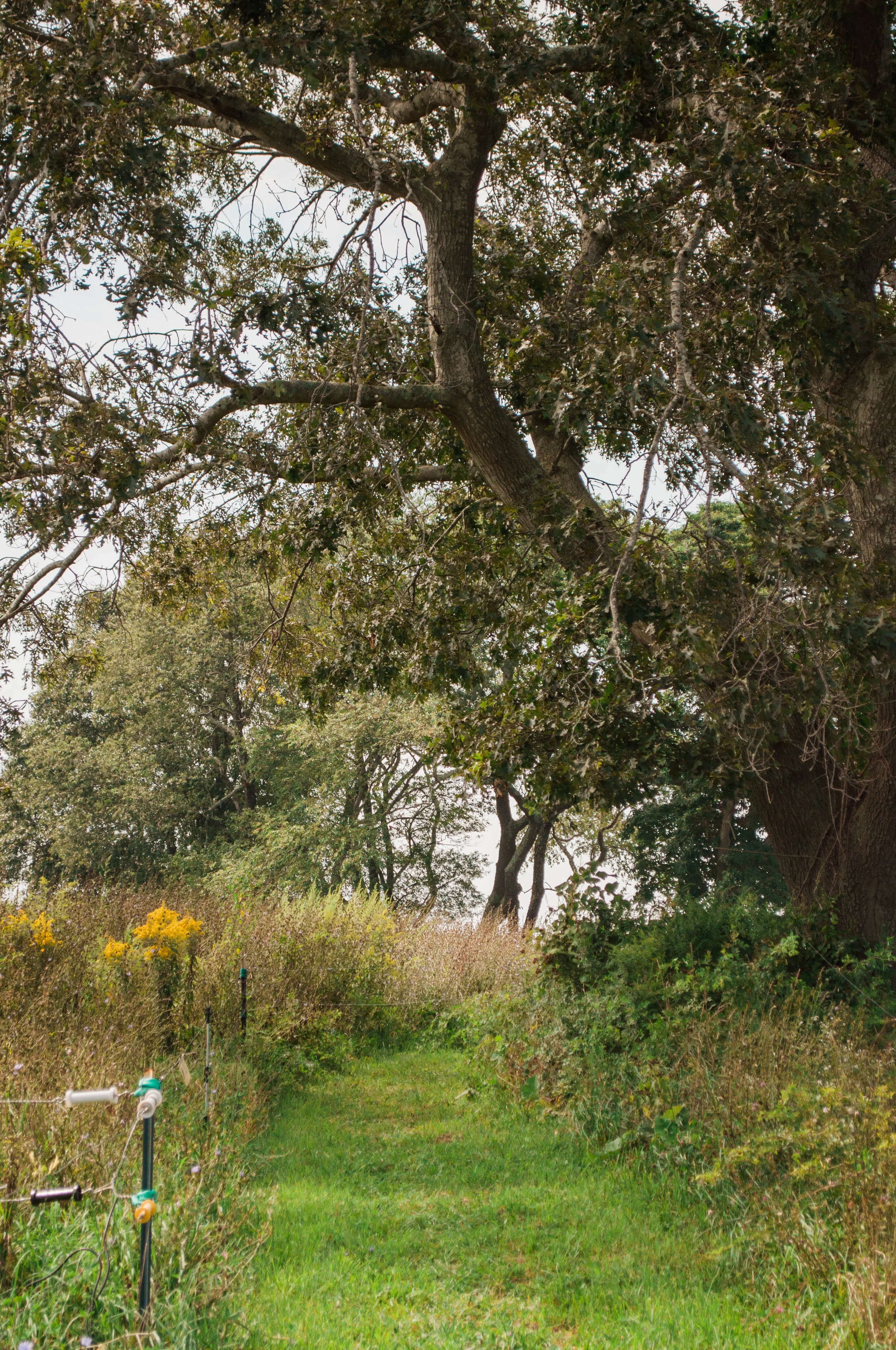 tivertonlandtrust-34.jpg
