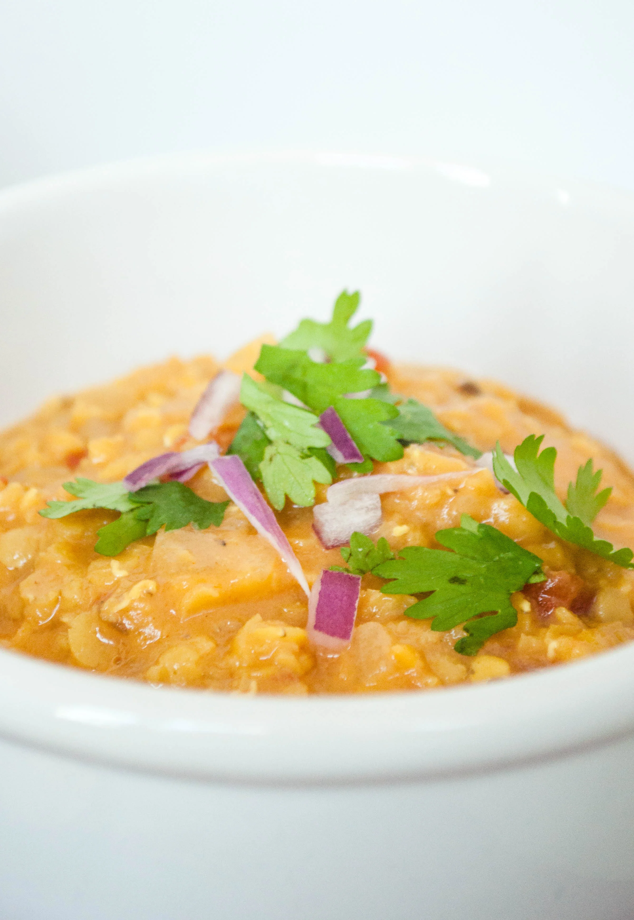 Red Lentil Daal with Coconut Milk — farmcoast editorial