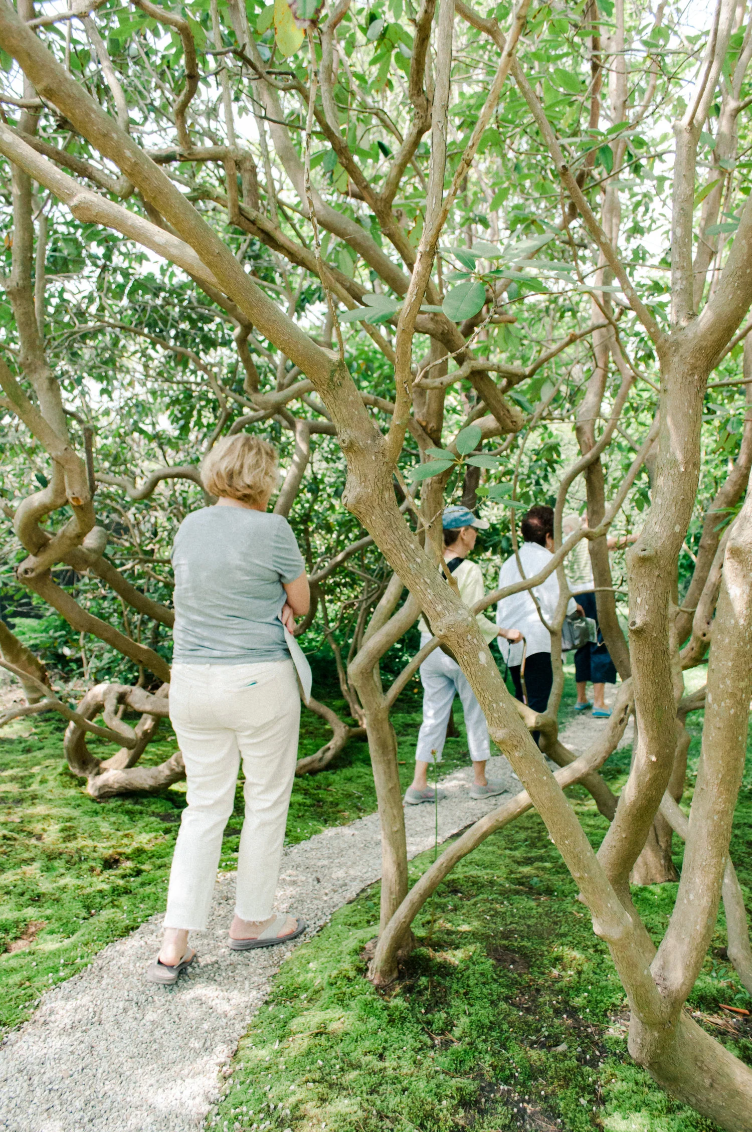 sakonnetgarden-6.jpg