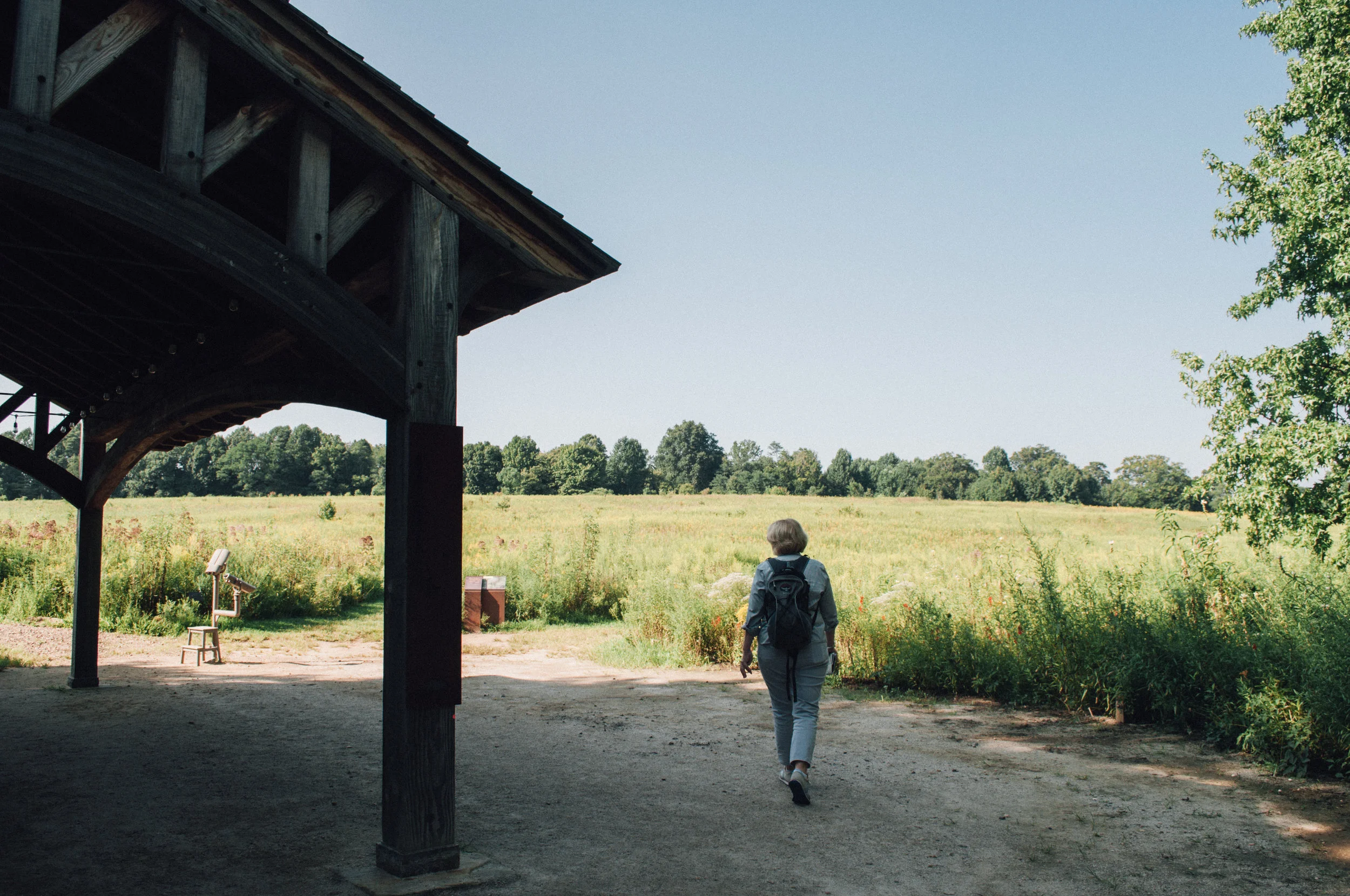 longwood_meadow-7.jpg