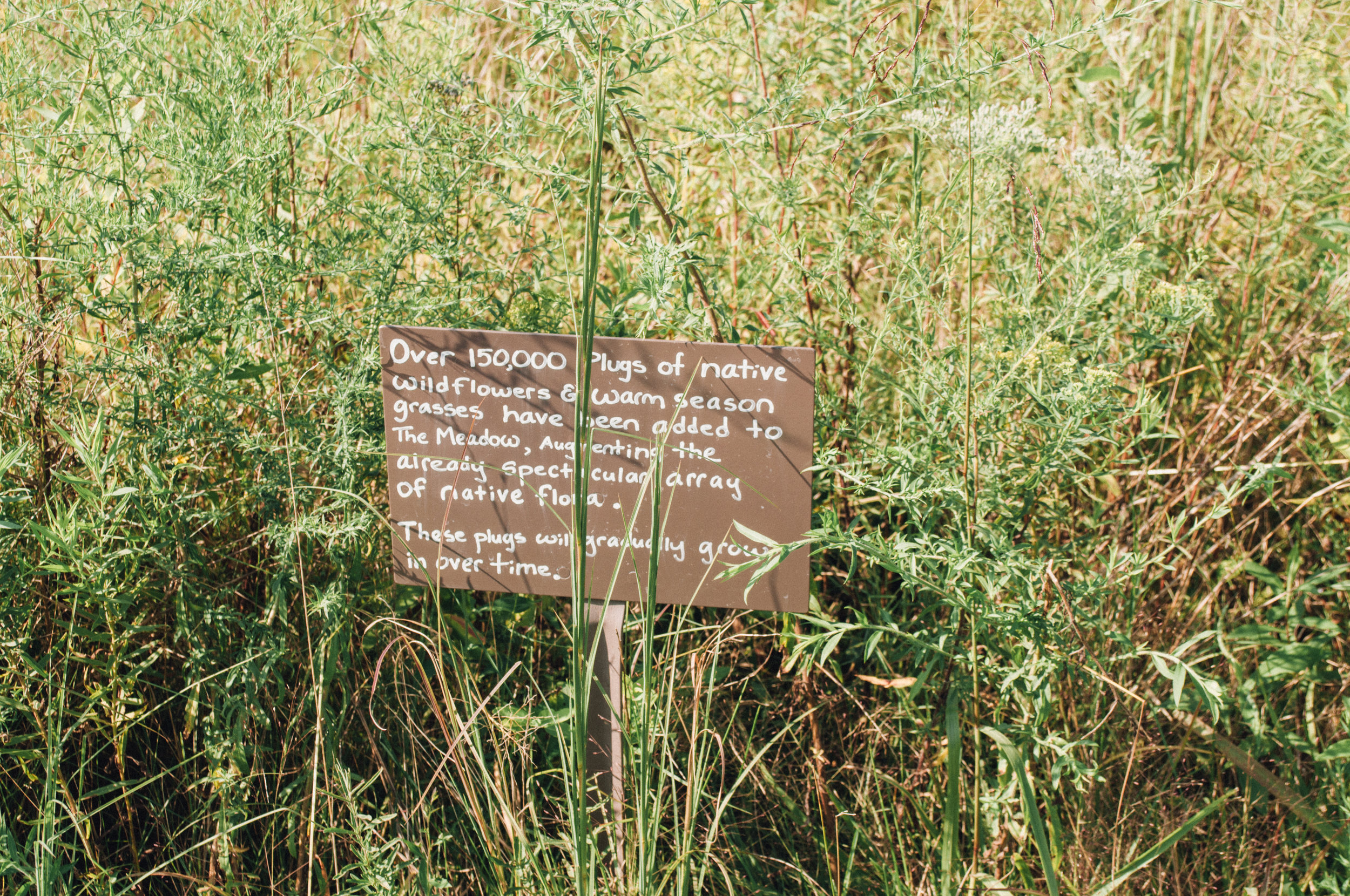 Longwood Gardens Part One: The Meadow — farmcoast editorial