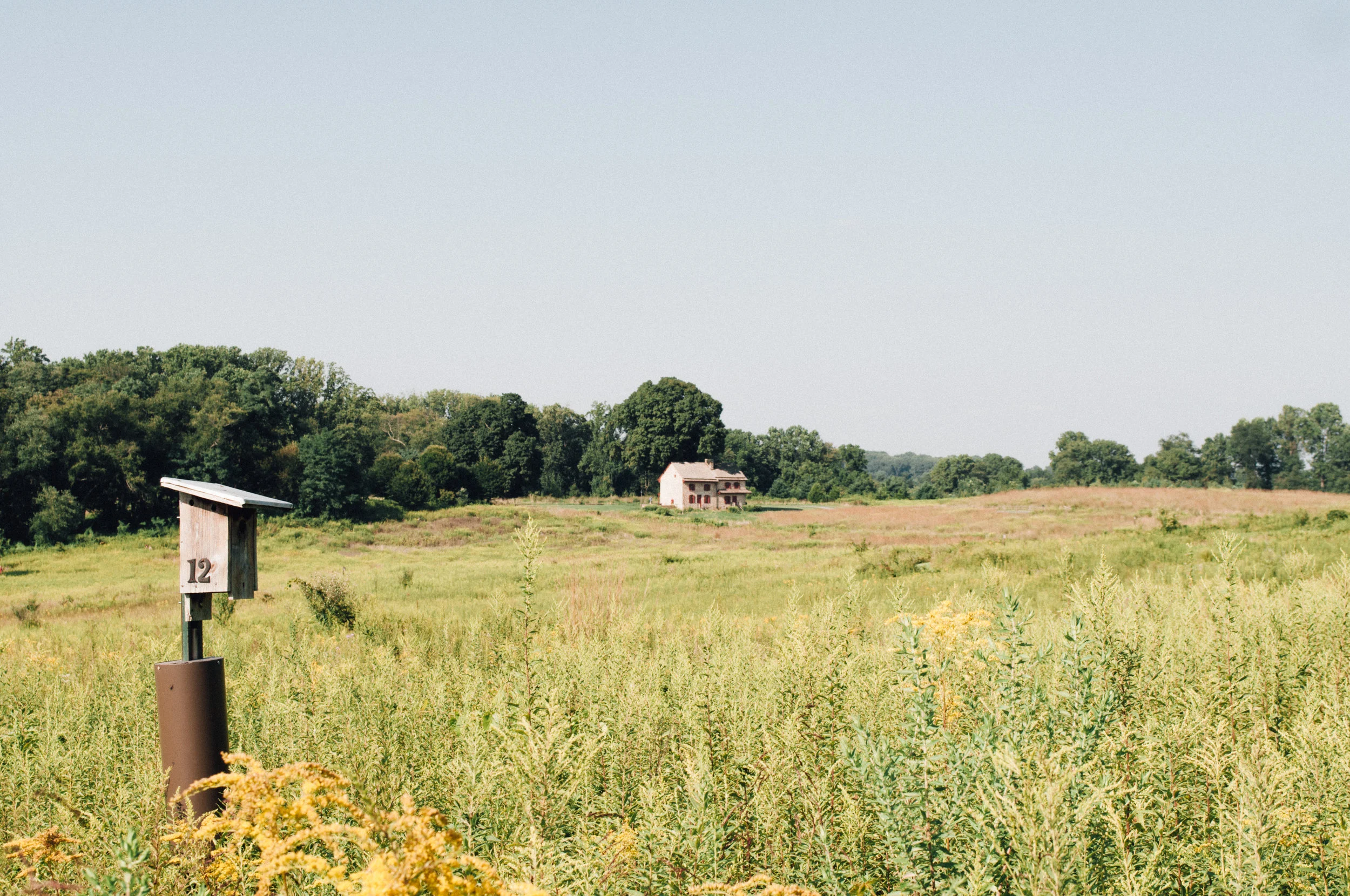 longwood_meadow-27.jpg