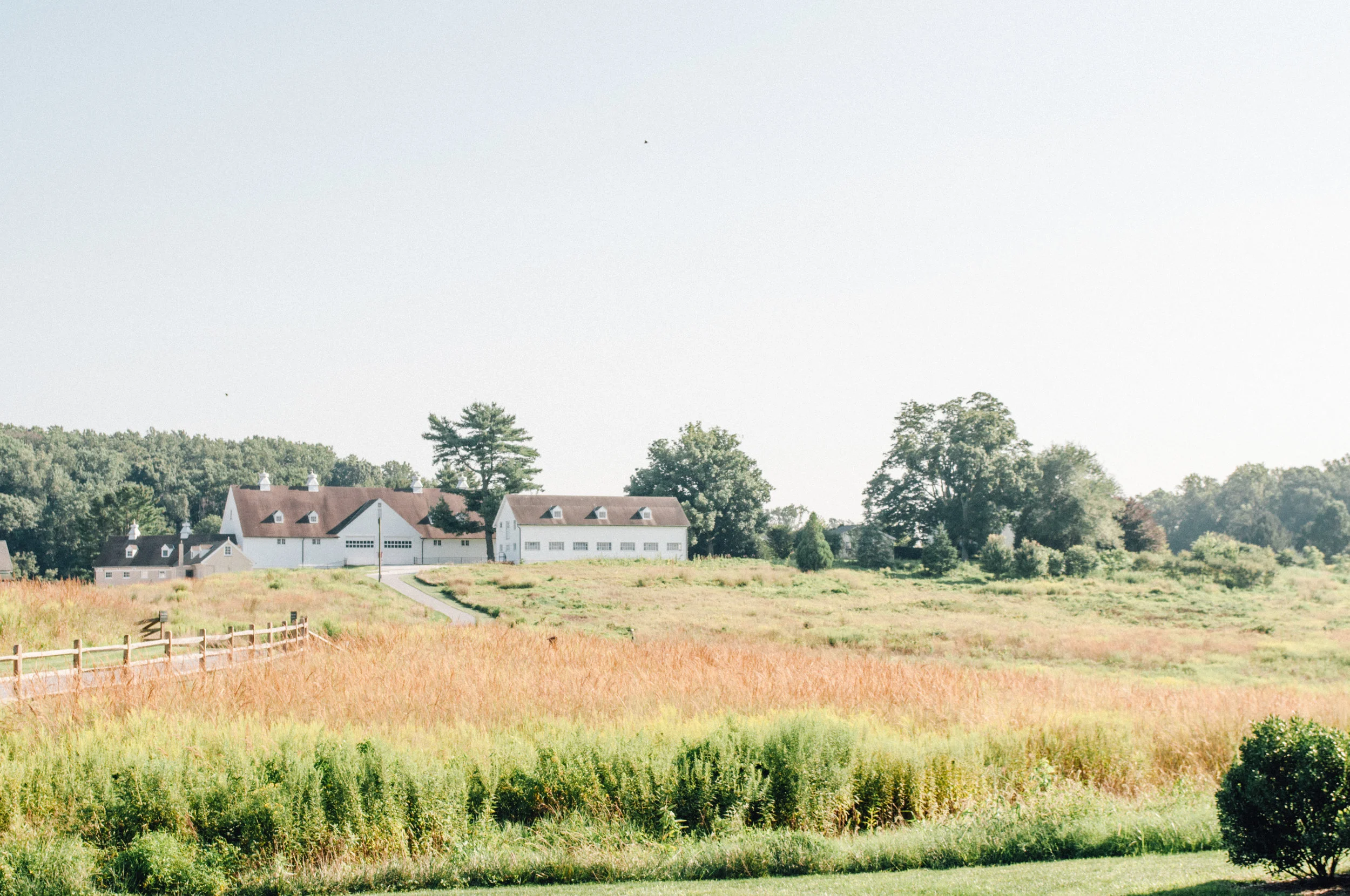 longwood_meadow-41.jpg