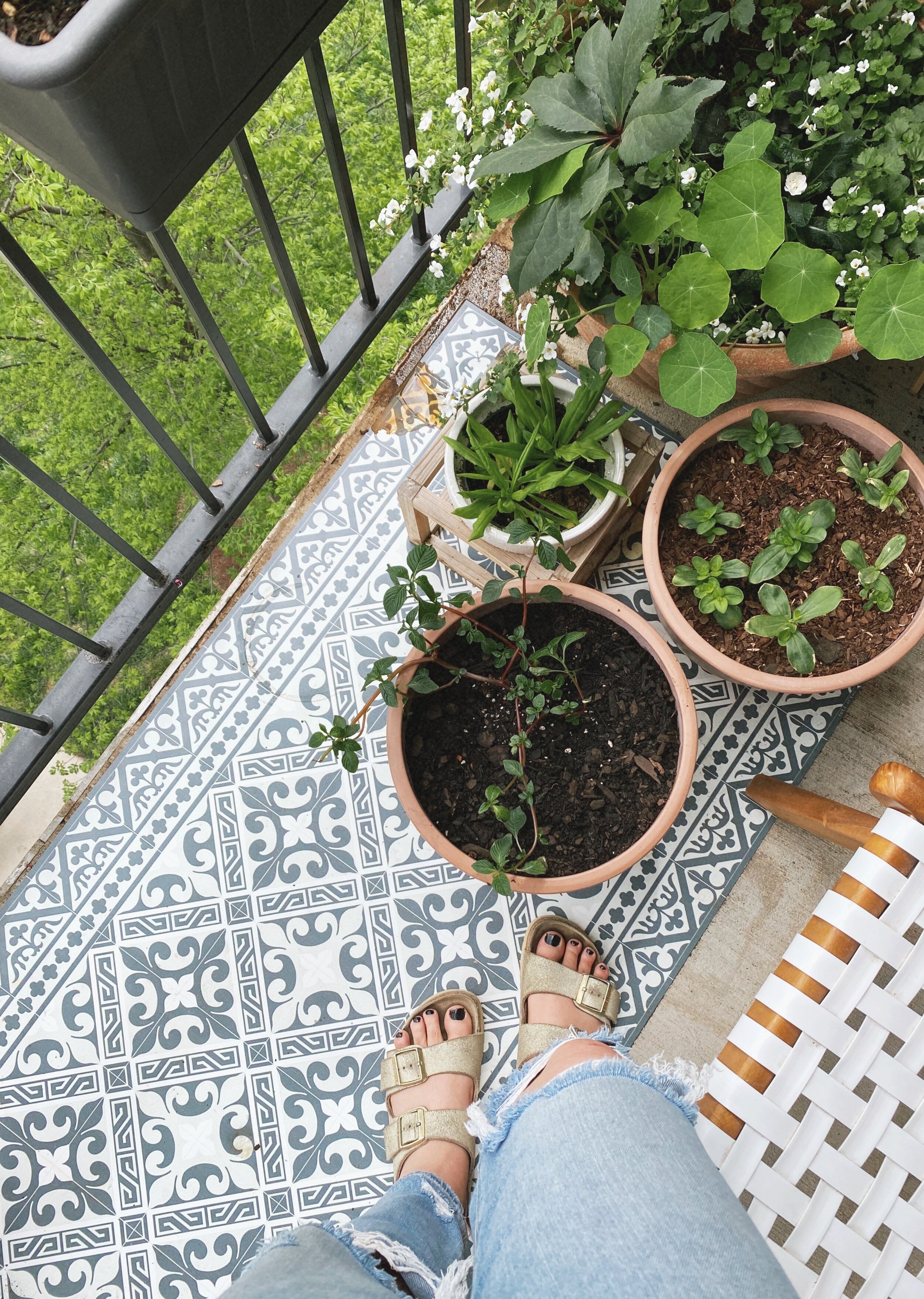 Garden Talks - April 2021 Garden 