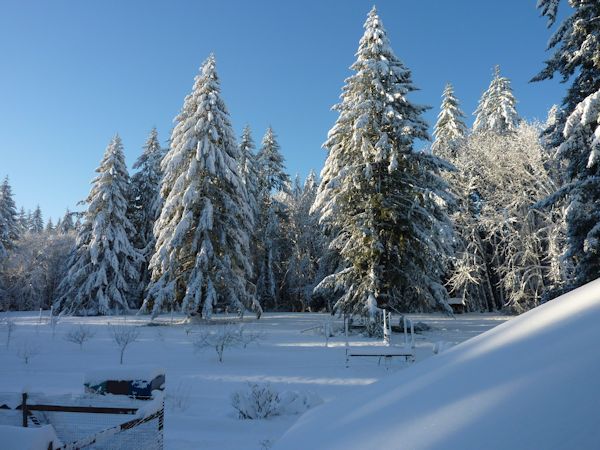 We were trapped in the house for seven days because we could not get down our drive to the main road. Then the day the snow cleared USPS delivered 20 packages of trigger housings so it was "back to work".