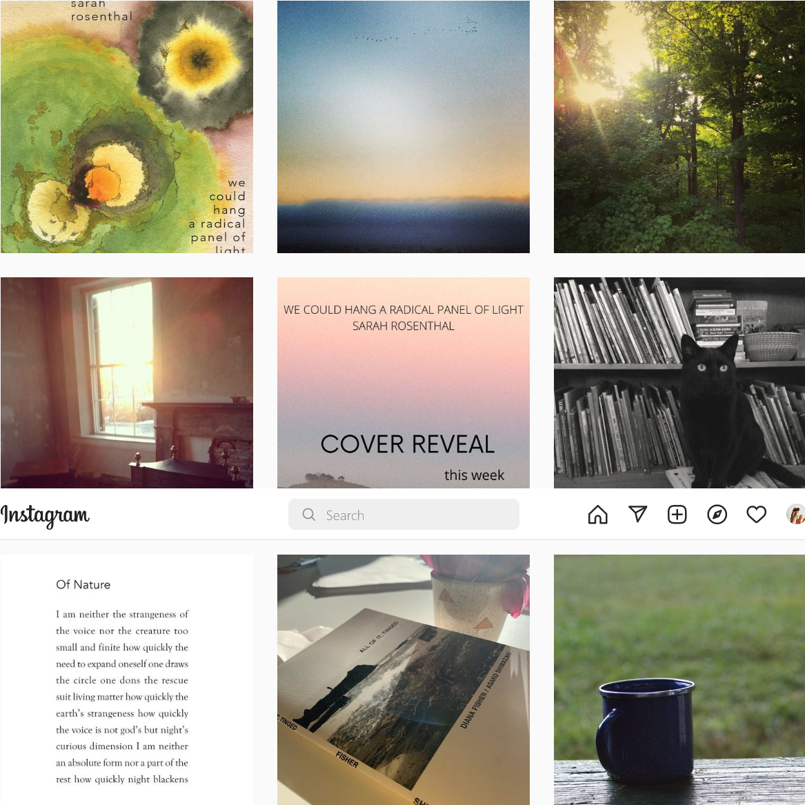DROP LEAF PRESS / SOCIAL MEDIA CONTENT CREATOR +COPYWRITER
