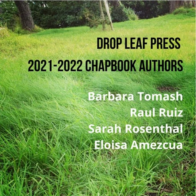 DROP LEAF PRESS / DIGITAL MARKETING COPYWRITER