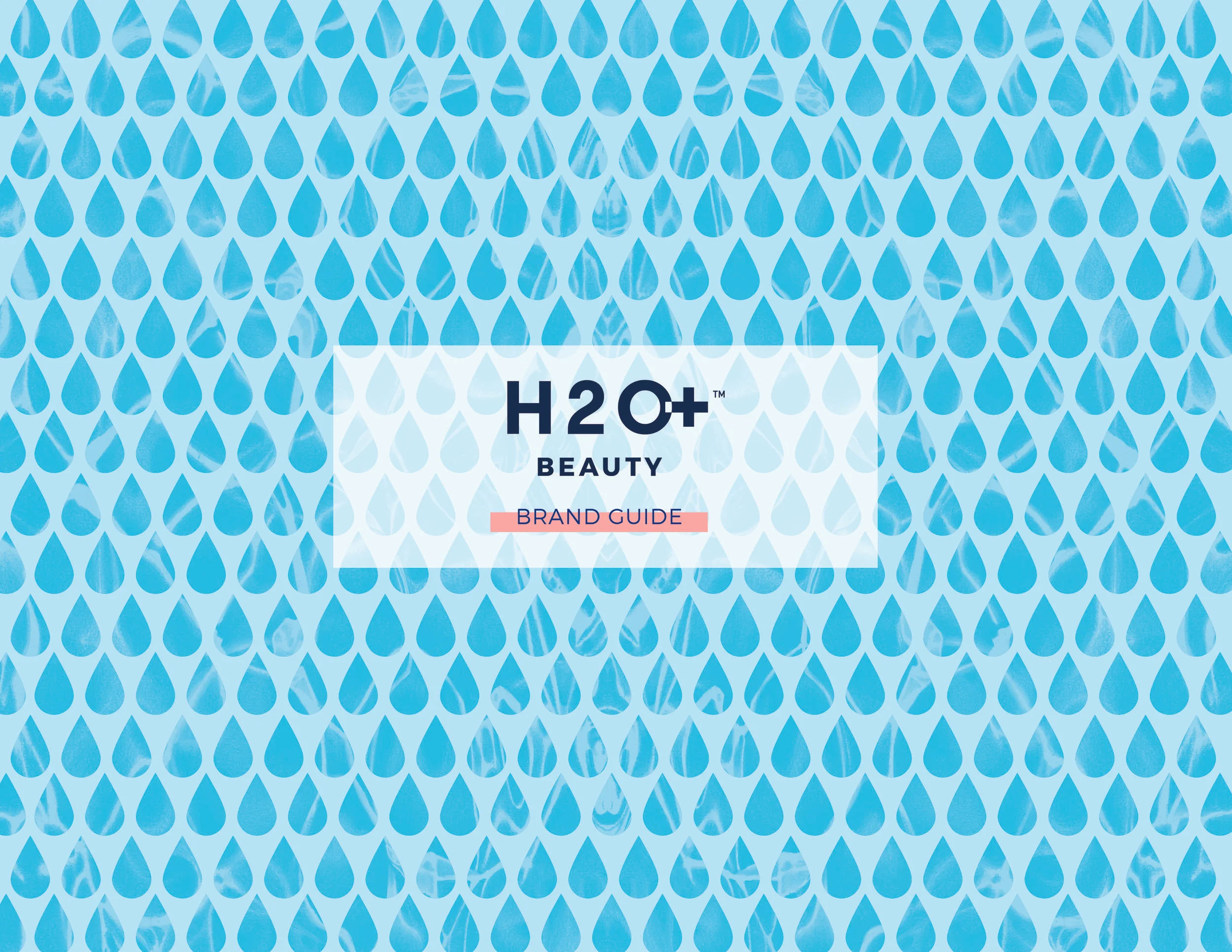 H2O+ Beauty Brand Guide