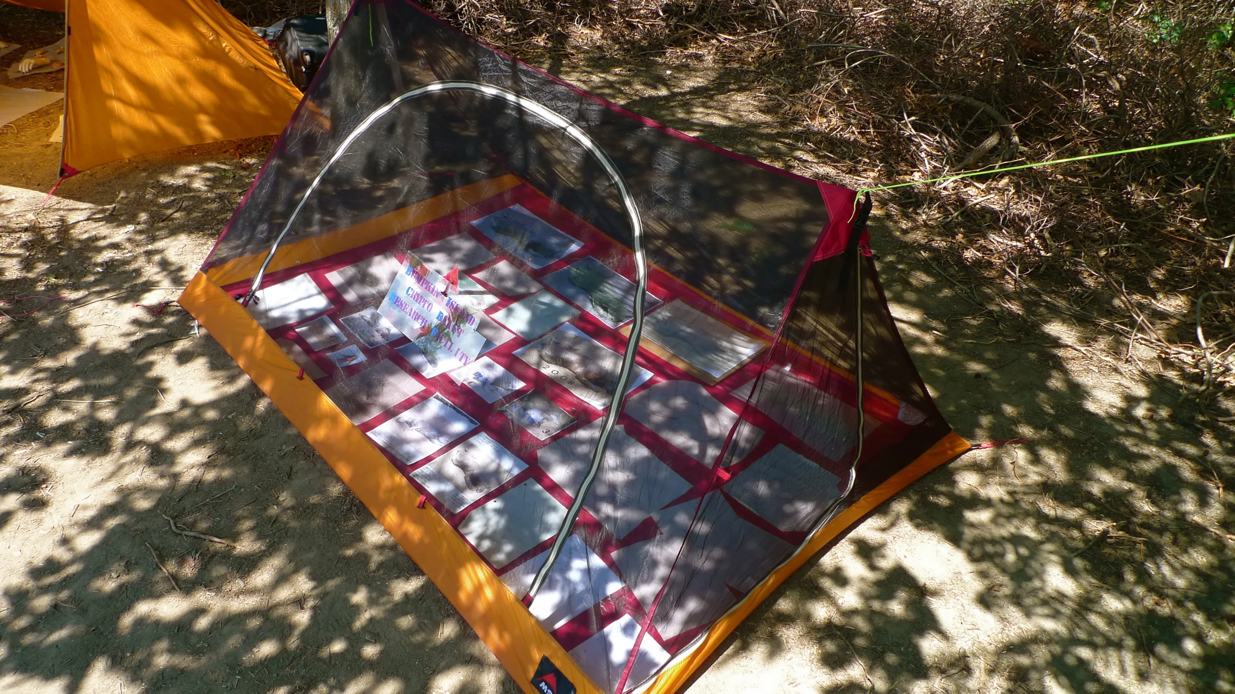 L1000955.JPG
