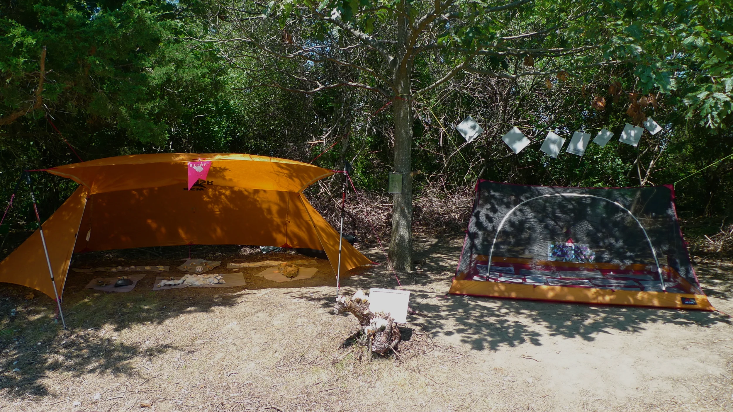 L1000944.JPG