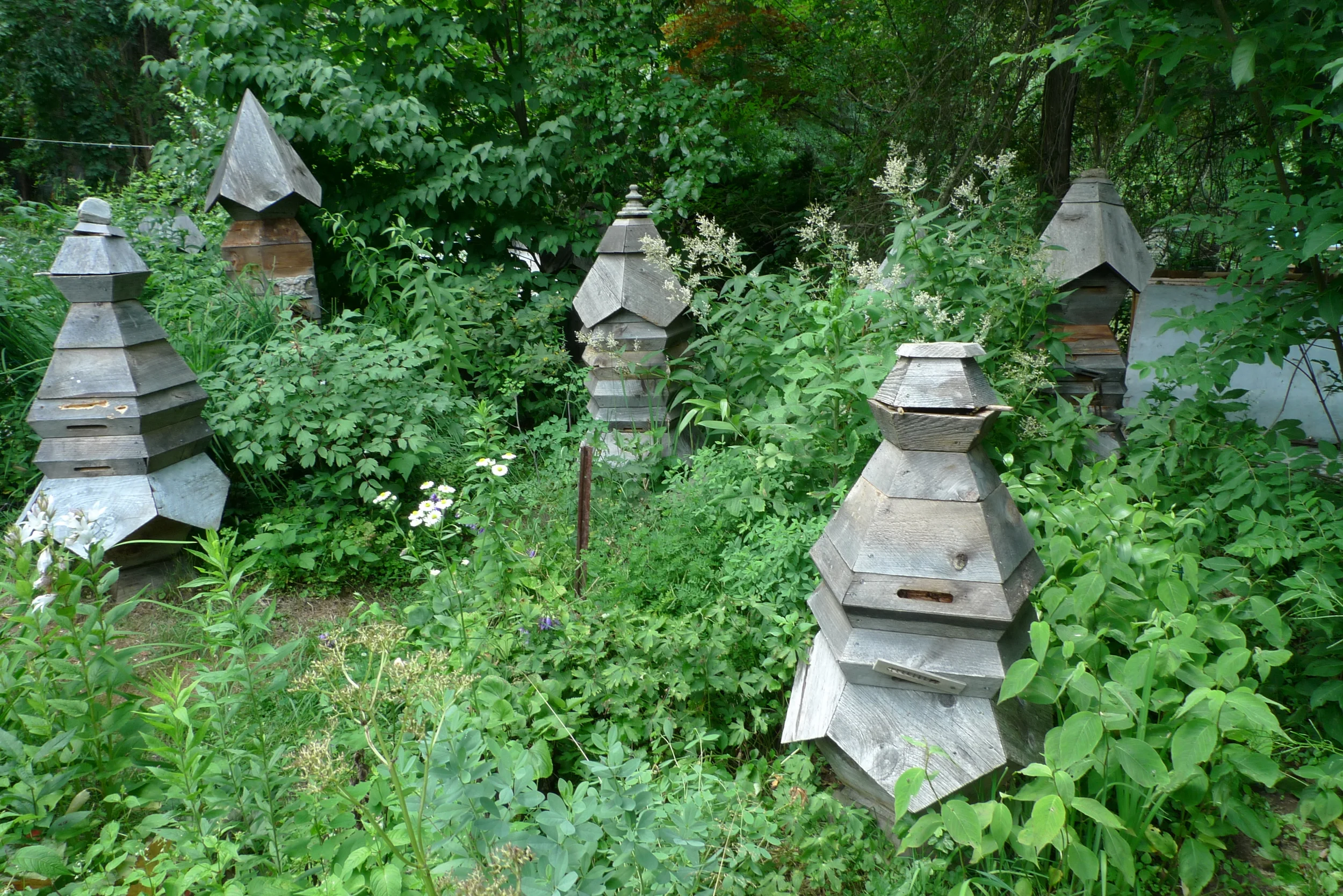 L1000601.JPG