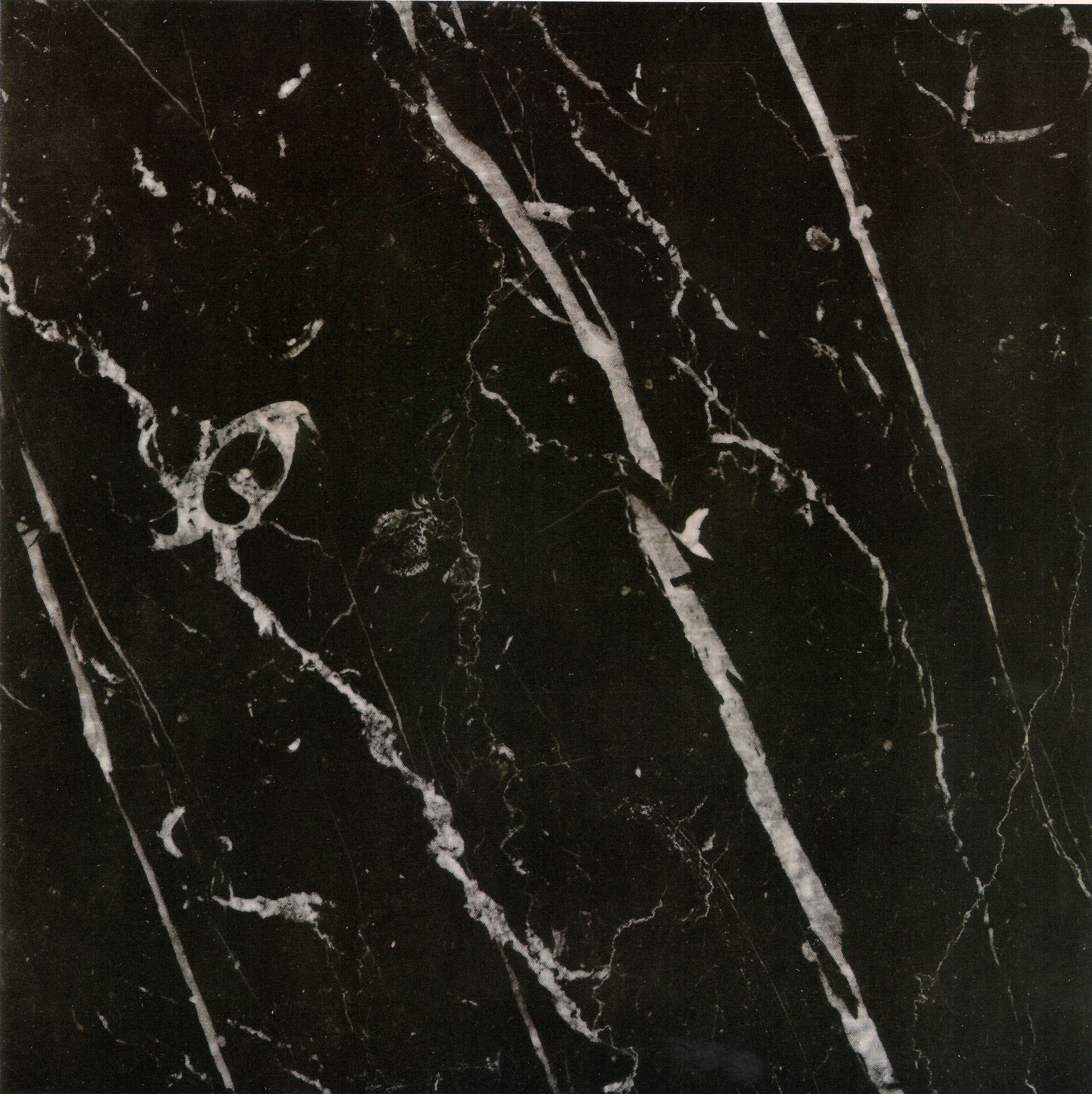 0_Negro Marquina Spain.jpg