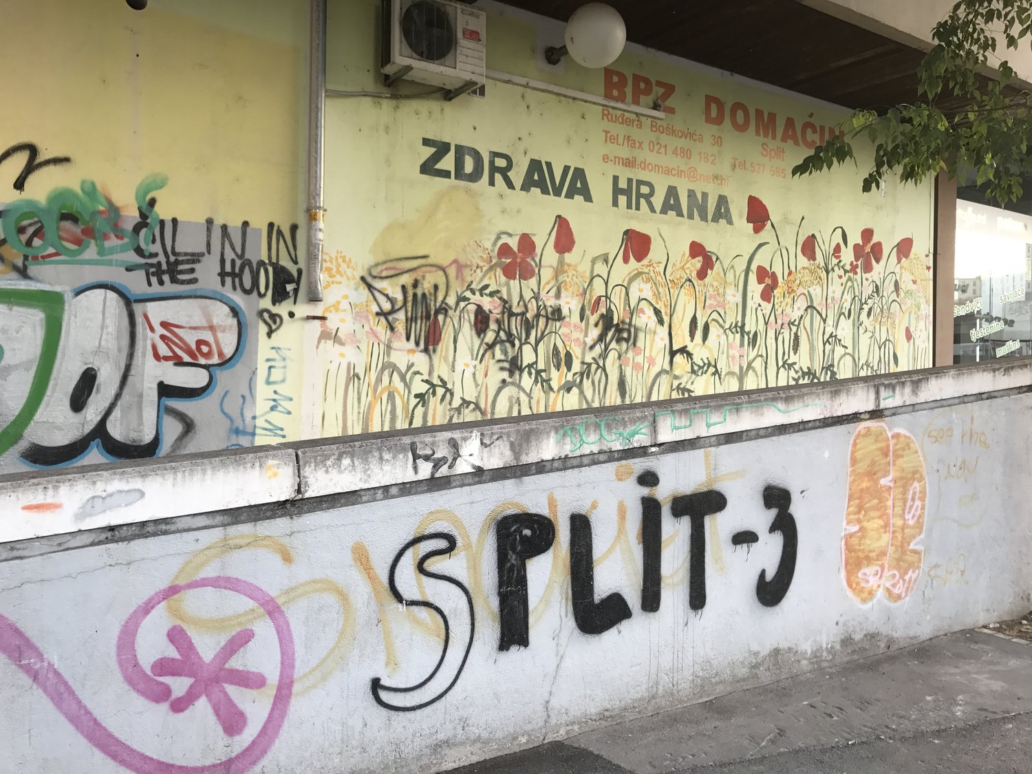 Soft Hajduk w/Queer Sport Split — MARIA MOLTENI