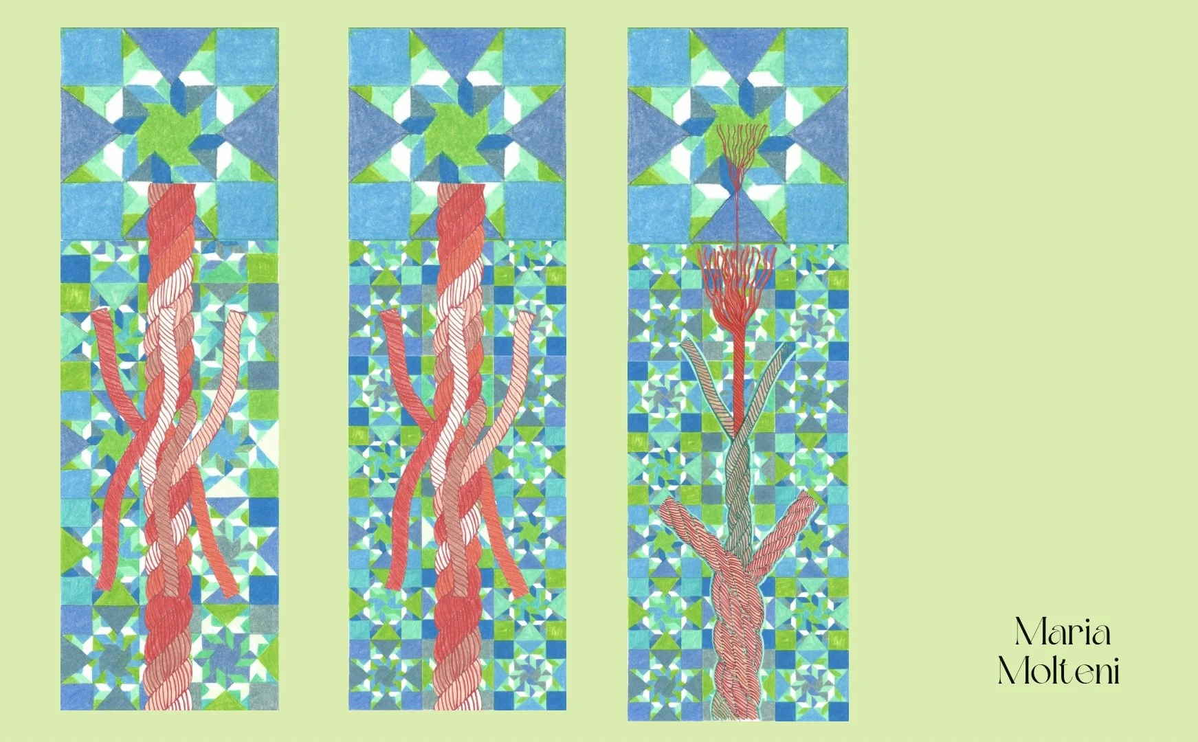 Flying Sparrow Falling Star - 9.jpeg