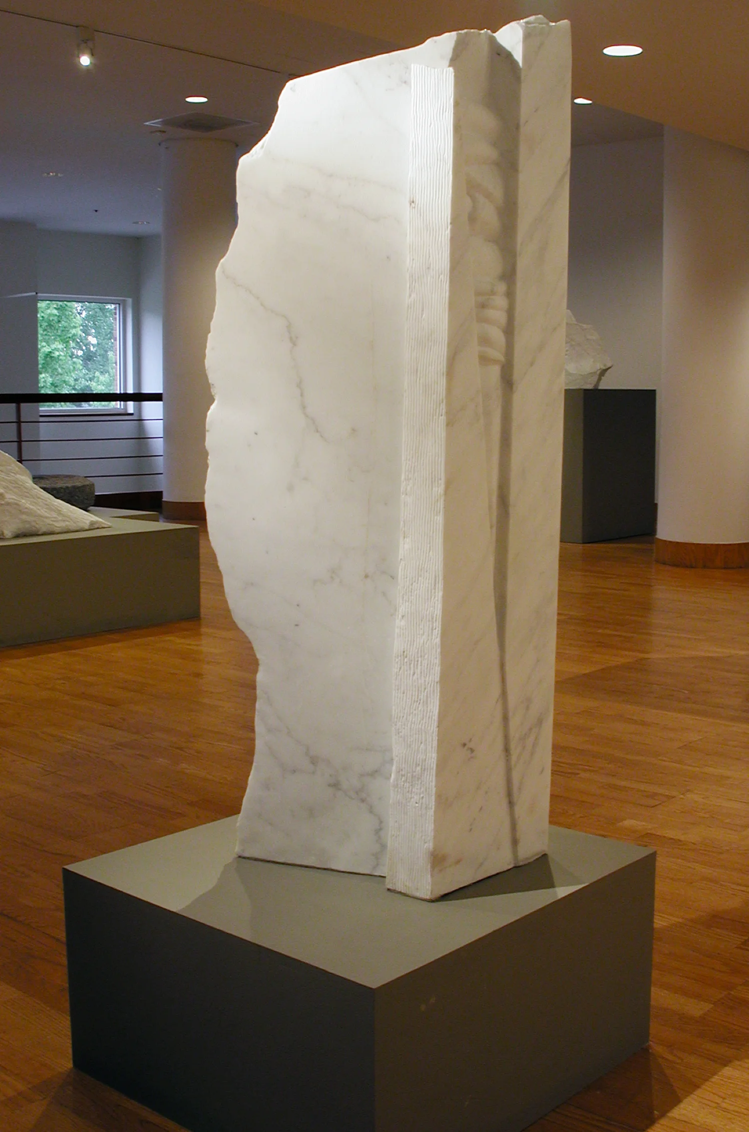 albero5.jpg