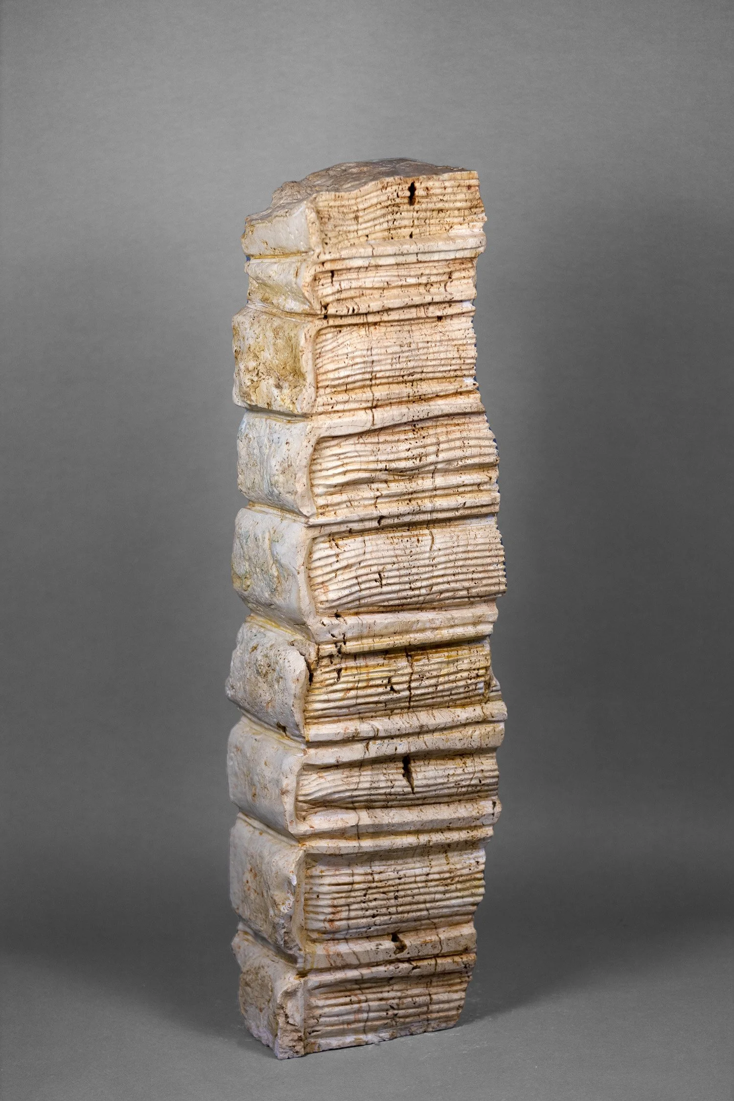 Libre Termite Bookstack #5 - view 2.jpg
