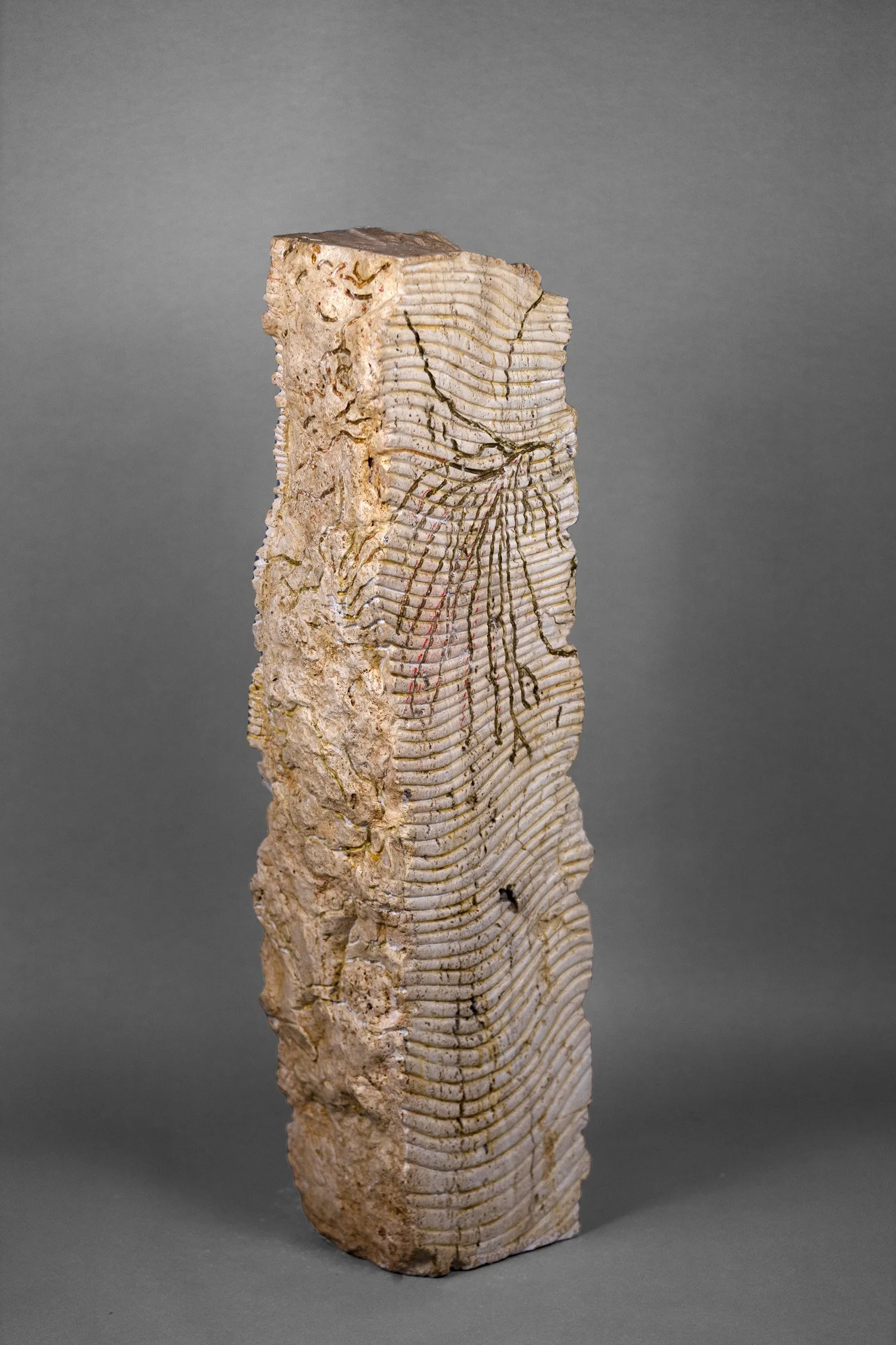 Libre Termite Bookstack #5 - view 1.jpg