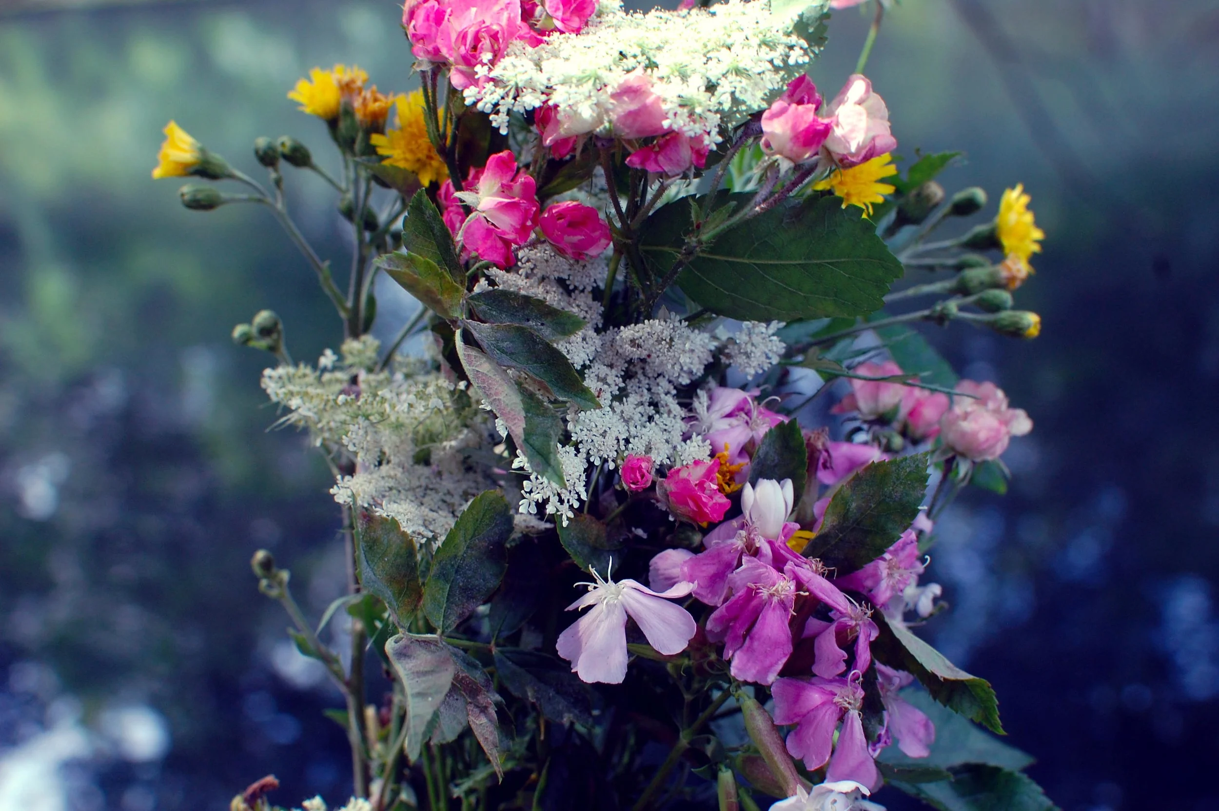wild plante bouquet.jpg