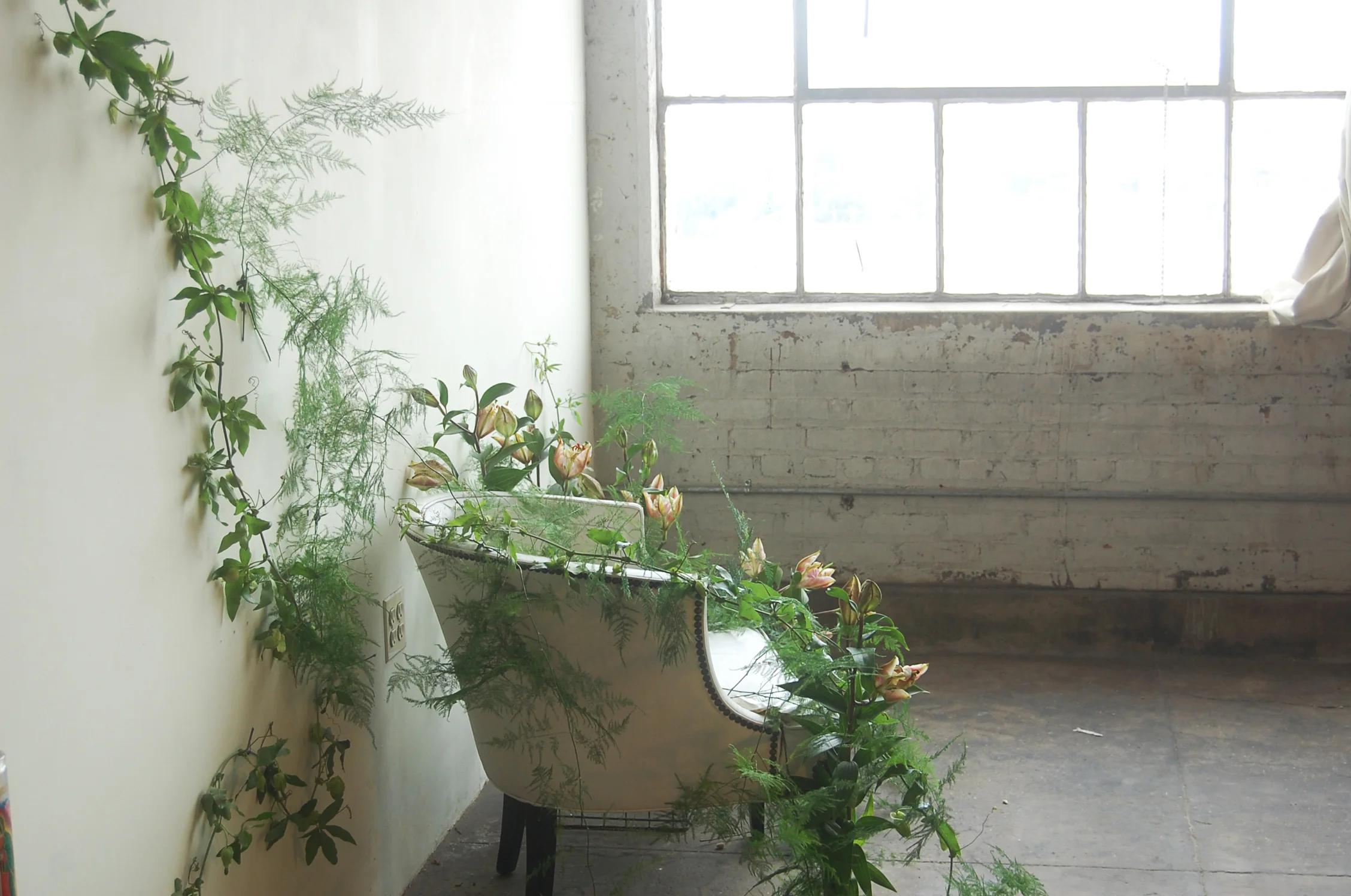 brrch floral for plante.jpg