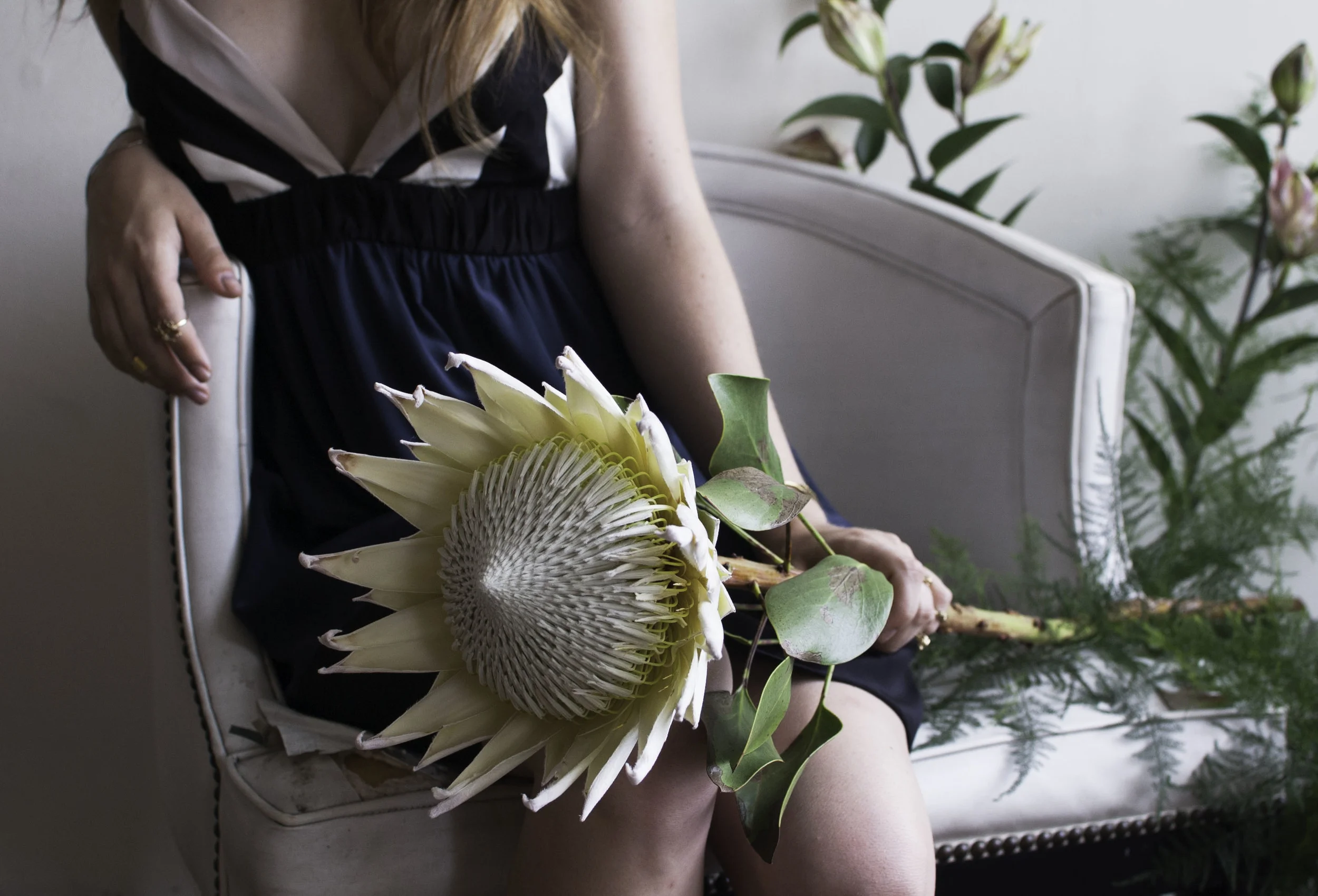 We had a King Protea from New Zealand. NBD.