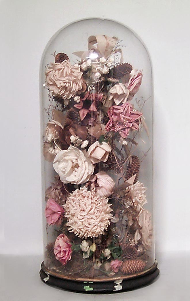 Cloche dried flowers bell dried flowers