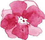 FF Pink Flower small.jpg