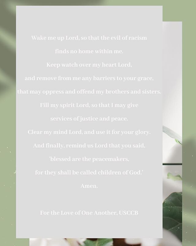 For the Love of One Another 🤍 this prayer is on my heart so I wanted to share it for those looking for the words to say (out loud or in the privacy of their own thoughts).🌿 #peacemakers