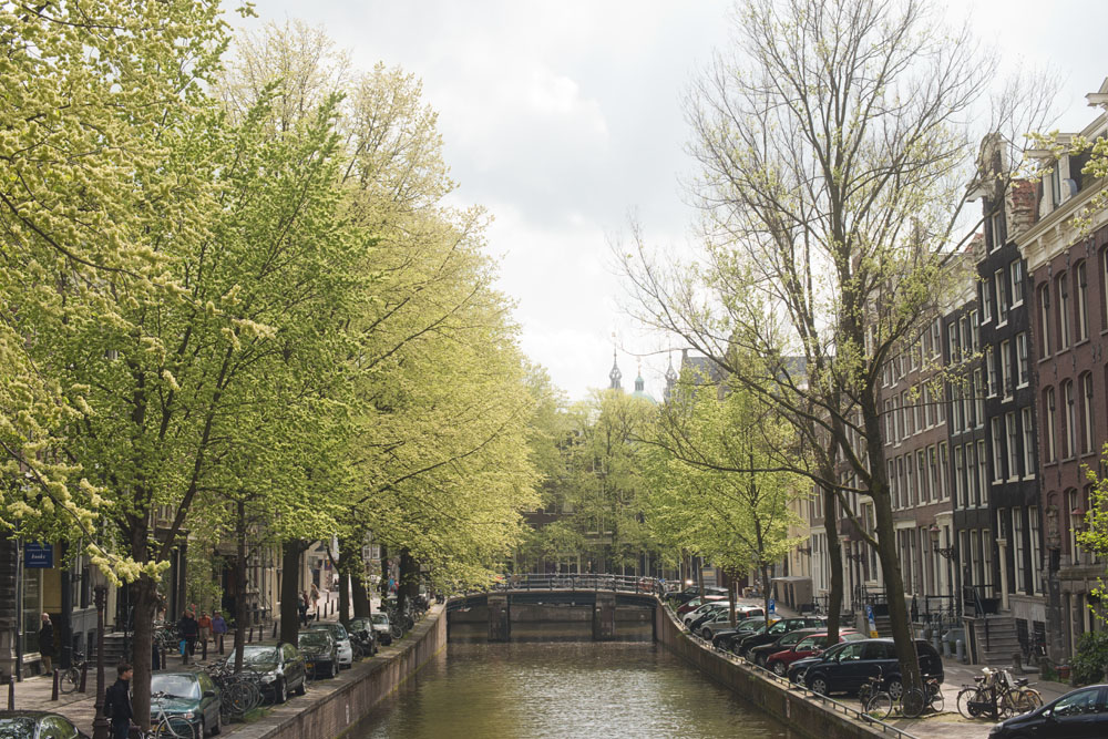 amsterdam canals_001.jpg