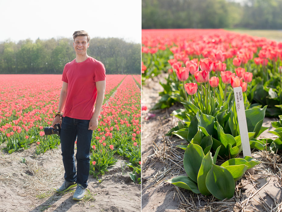 holland tulip fields_011.jpg