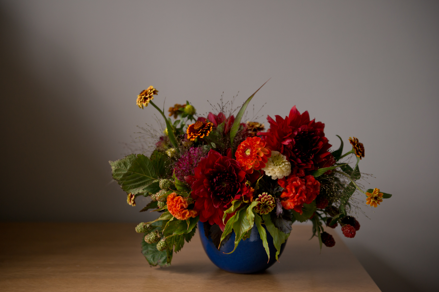 persian zinnias_004.jpg