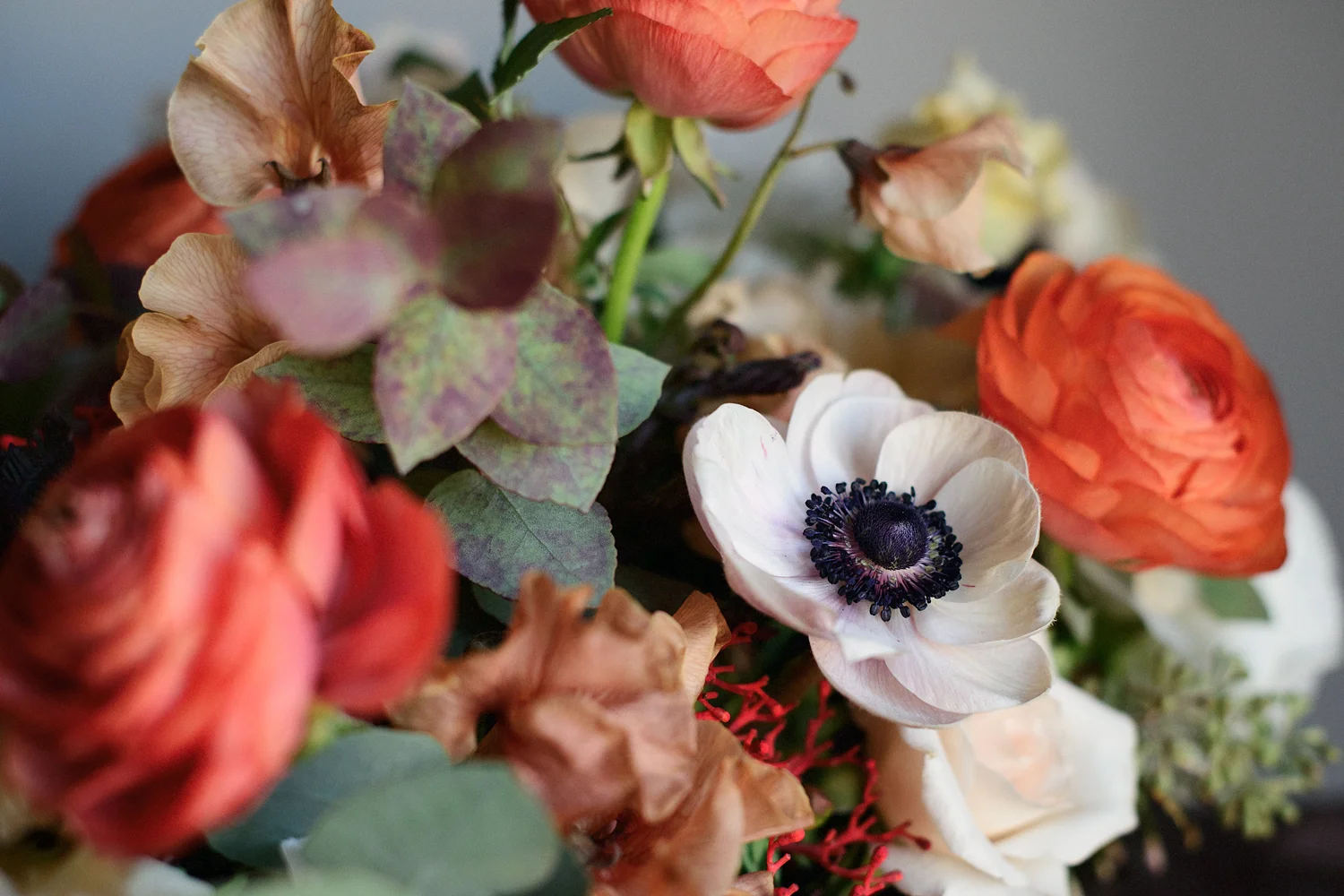 valentines 2015_026.jpg