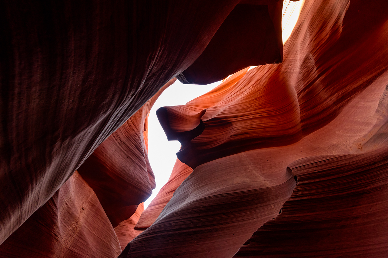 Bruce the Shark, Lower Antelope Canyon