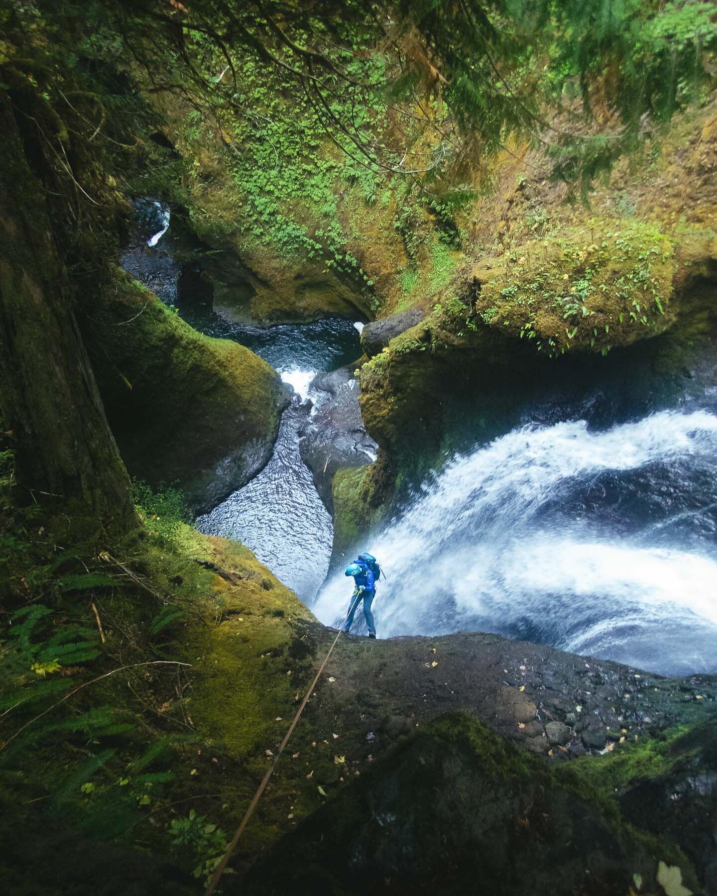 Descending into one of those magical places. It&rsquo;s always fun to take people through a classic for the first time. #canyoneering #canyoning
.
.
.
.
.
#pnwdiscovered&nbsp;#pnwroamers&nbsp;#pnwonderland #pnwuncovered #theNWadventure #jj_oregon #no