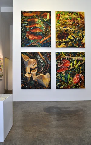 Installation view of Fleeting Diversions , Jancar Gallery, Los Angeles, CA, 2013.