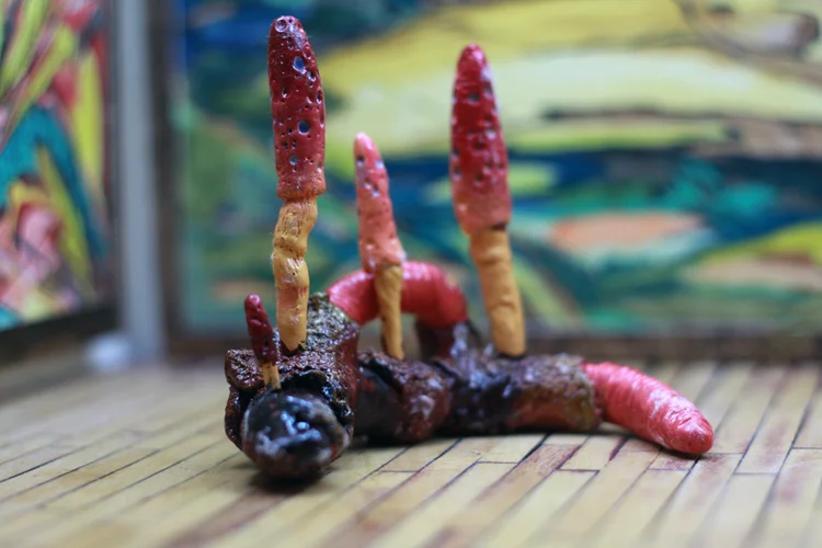 Installation view of Cordyceps , FOXRIVER, Singapore, 2013.