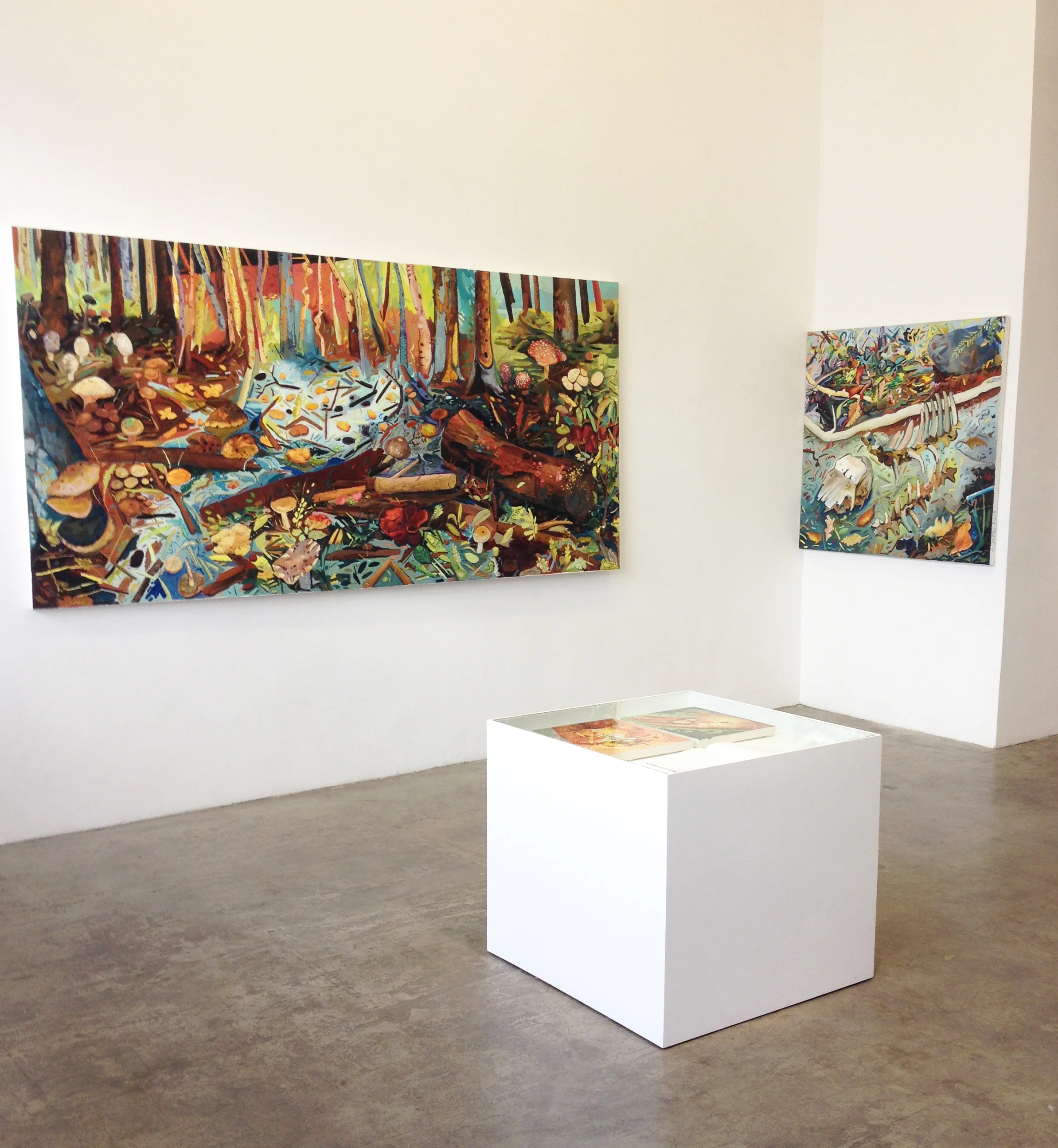 Installation view of Fleeting Diversions , Jancar Gallery, Los Angeles, CA, 2013.