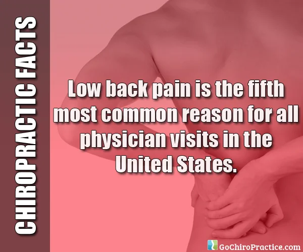 Facts-About-Chiropractic-Care-5.jpg