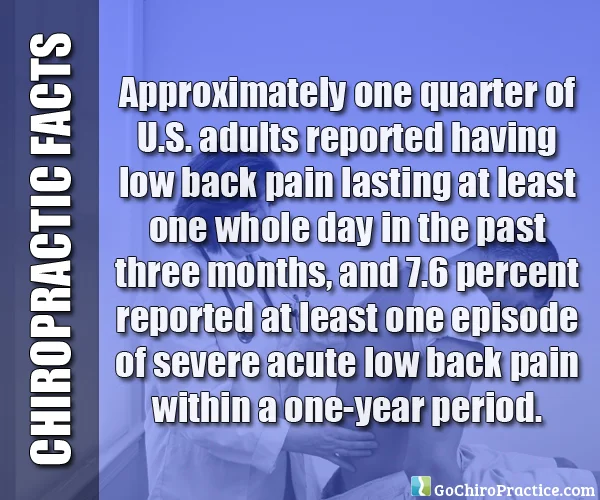 Facts-About-Chiropractic-Care-9.jpg